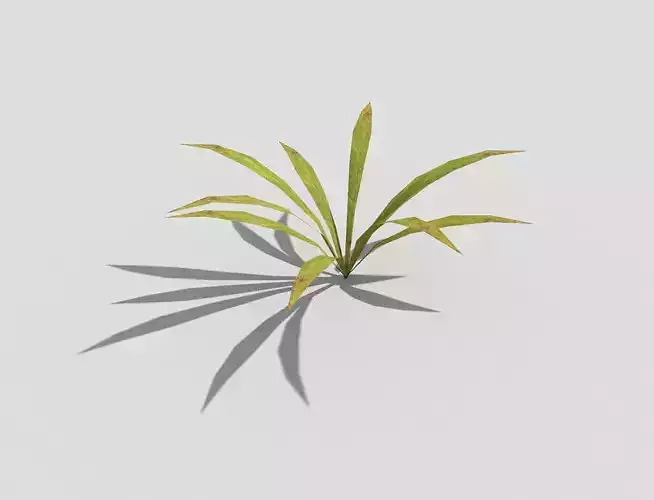 Low poly Plant