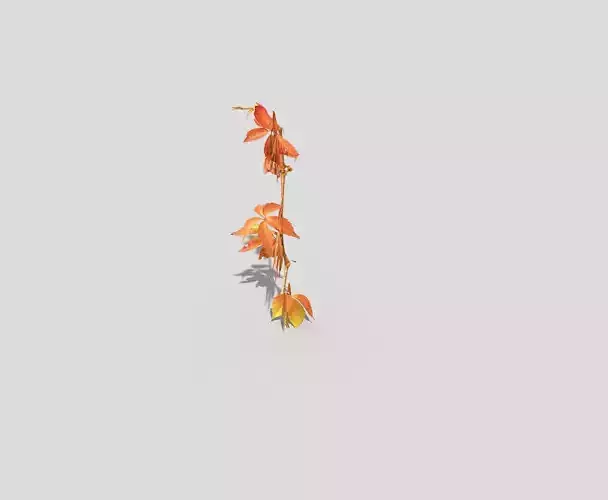 Low poly Plant branch with leaves Low-poly 3D model