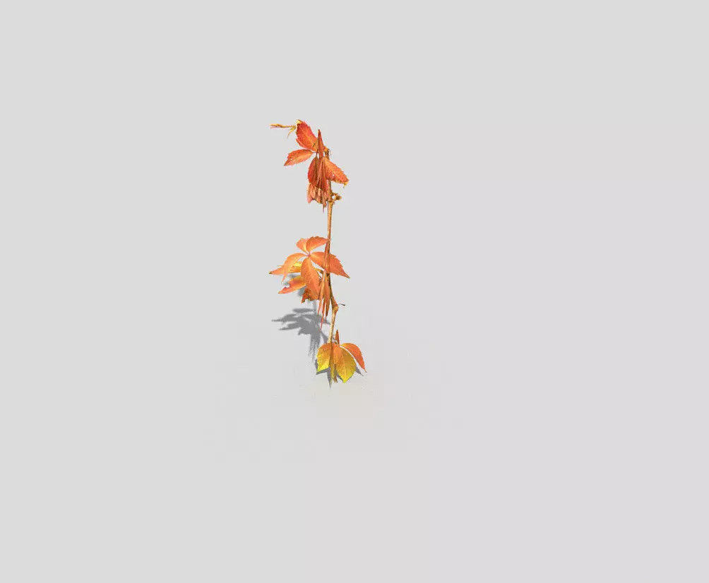 Low poly Plant branch with leaves Low-poly 3D model_0