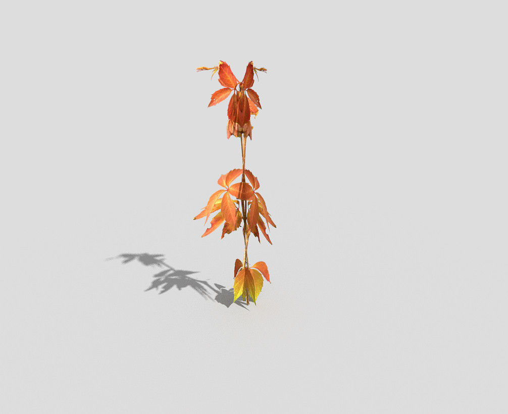 Low poly Plant branch with leaves Low-poly 3D model_1