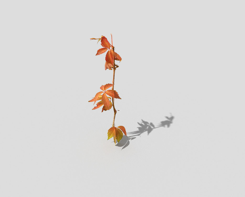Low poly Plant branch with leaves Low-poly 3D model_3