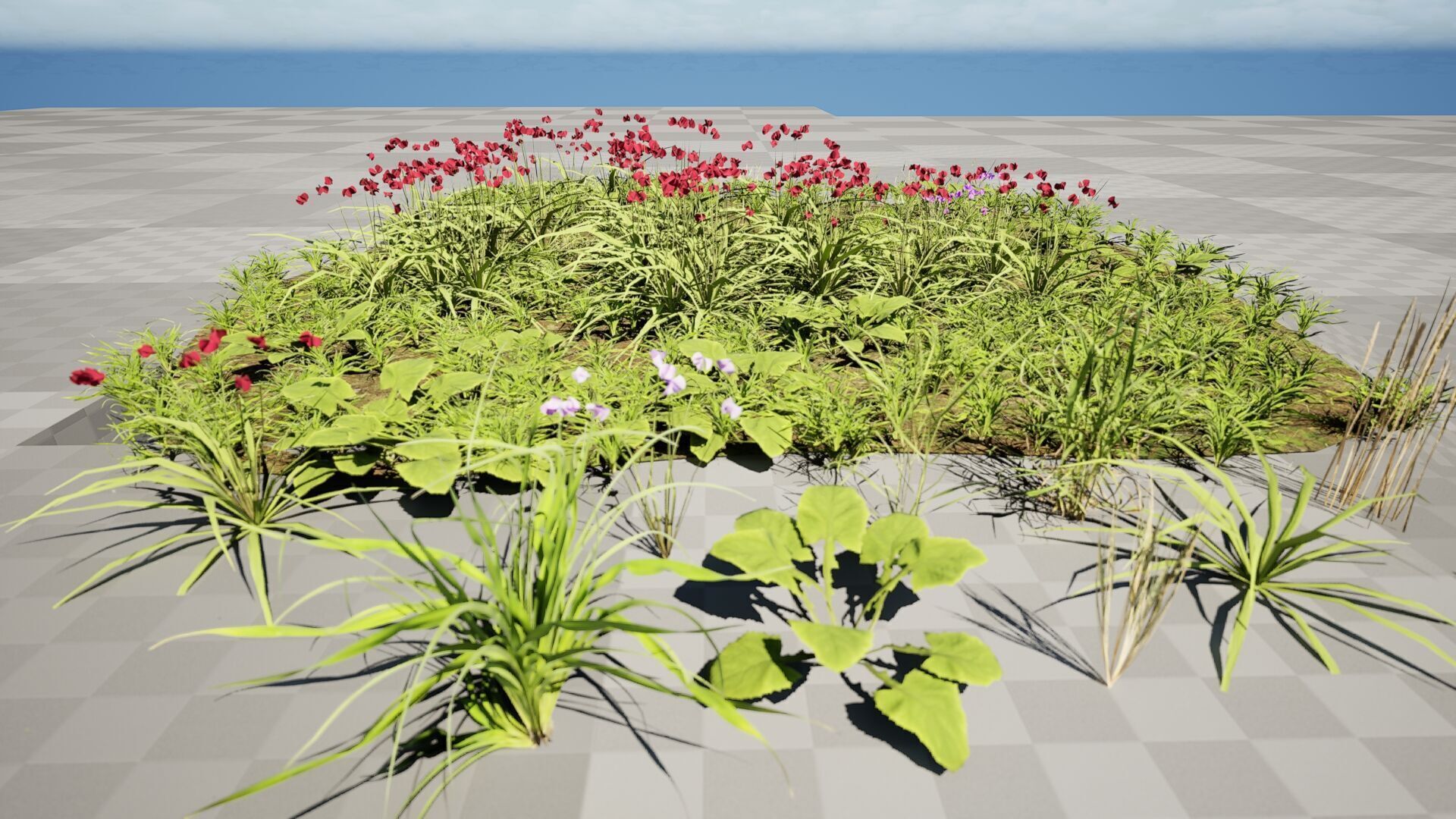 Wild Meadow Grass and Flower Patch Low-poly 3D model_2