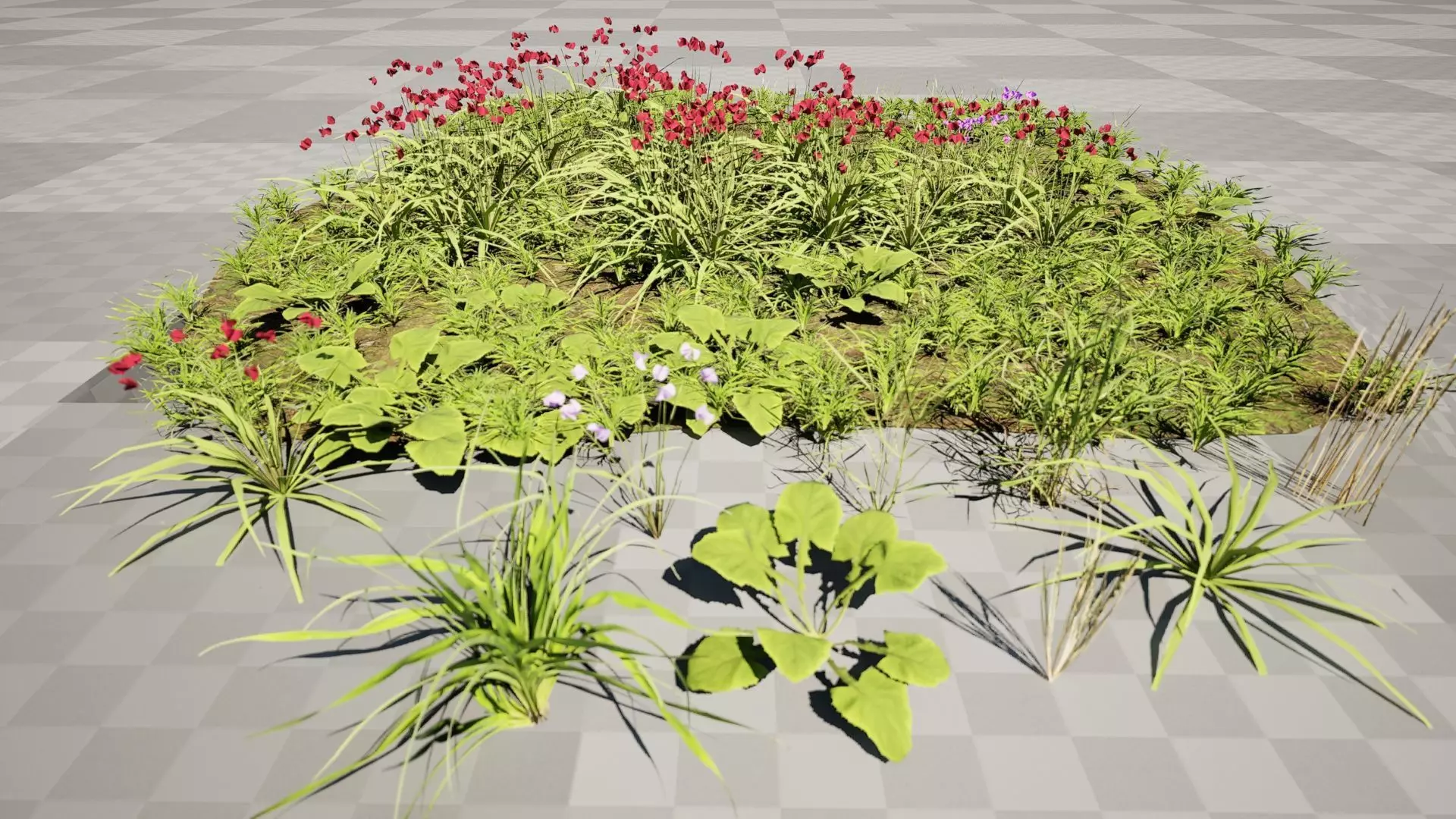 Wild Meadow Grass and Flower Patch Low-poly 3D model_0