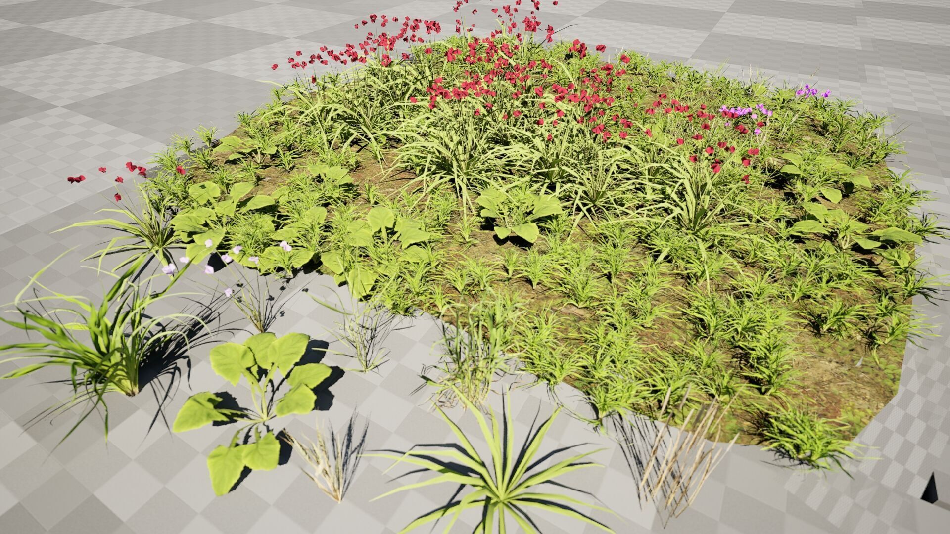 Wild Meadow Grass and Flower Patch Low-poly 3D model_5