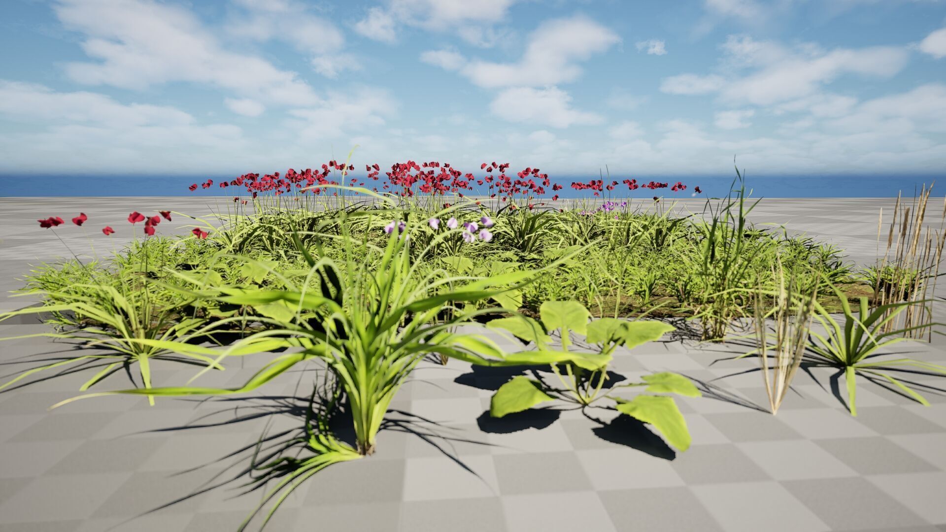 Wild Meadow Grass and Flower Patch Low-poly 3D model_3