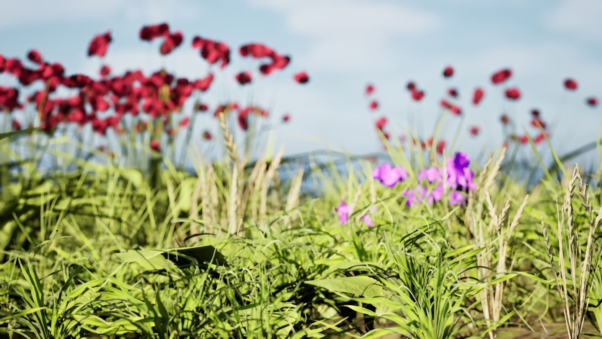 Wild Meadow Grass and Flower Patch Low-poly 3D model_6