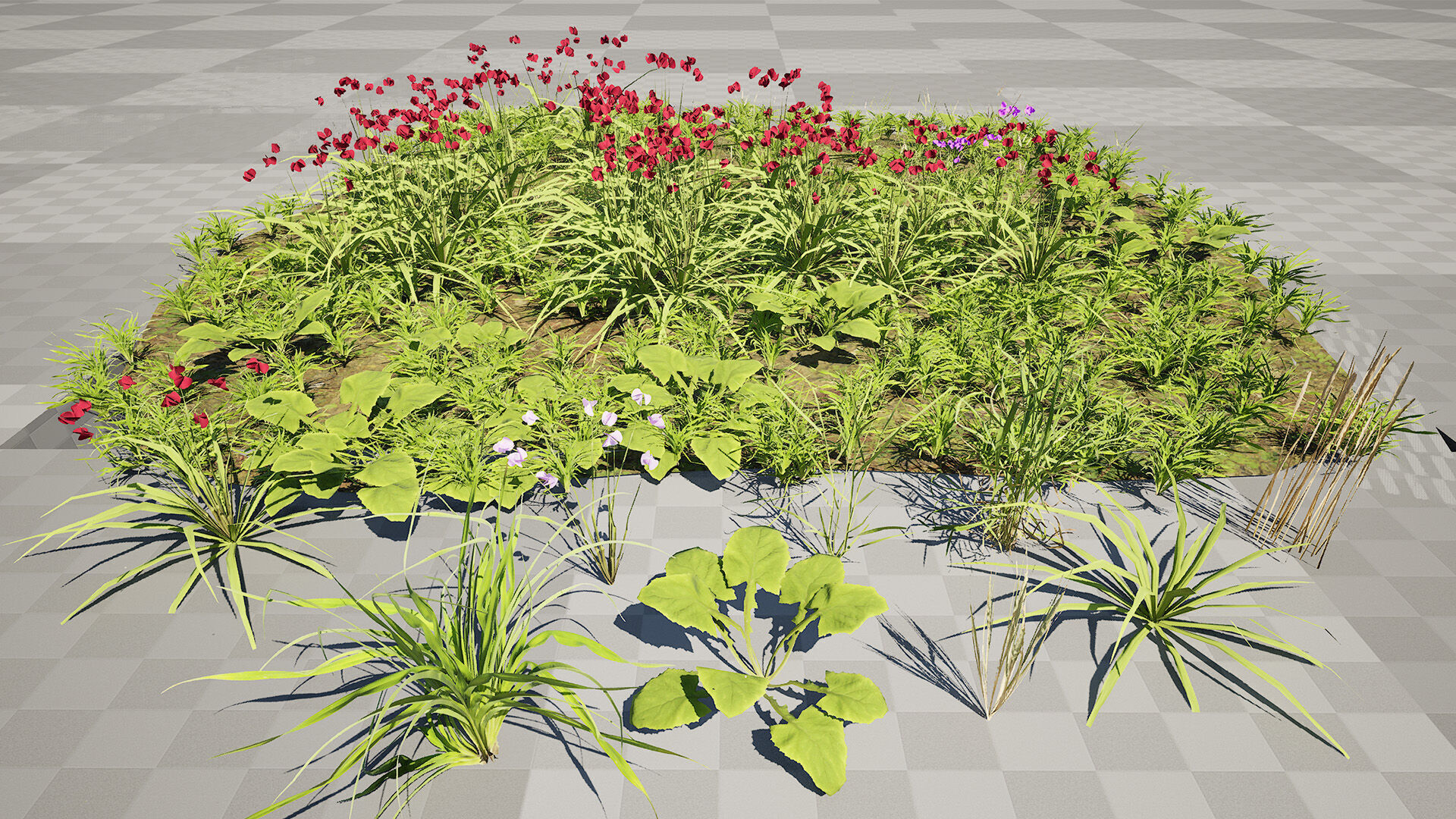 Wild Meadow Grass and Flower Patch Low-poly 3D model_7