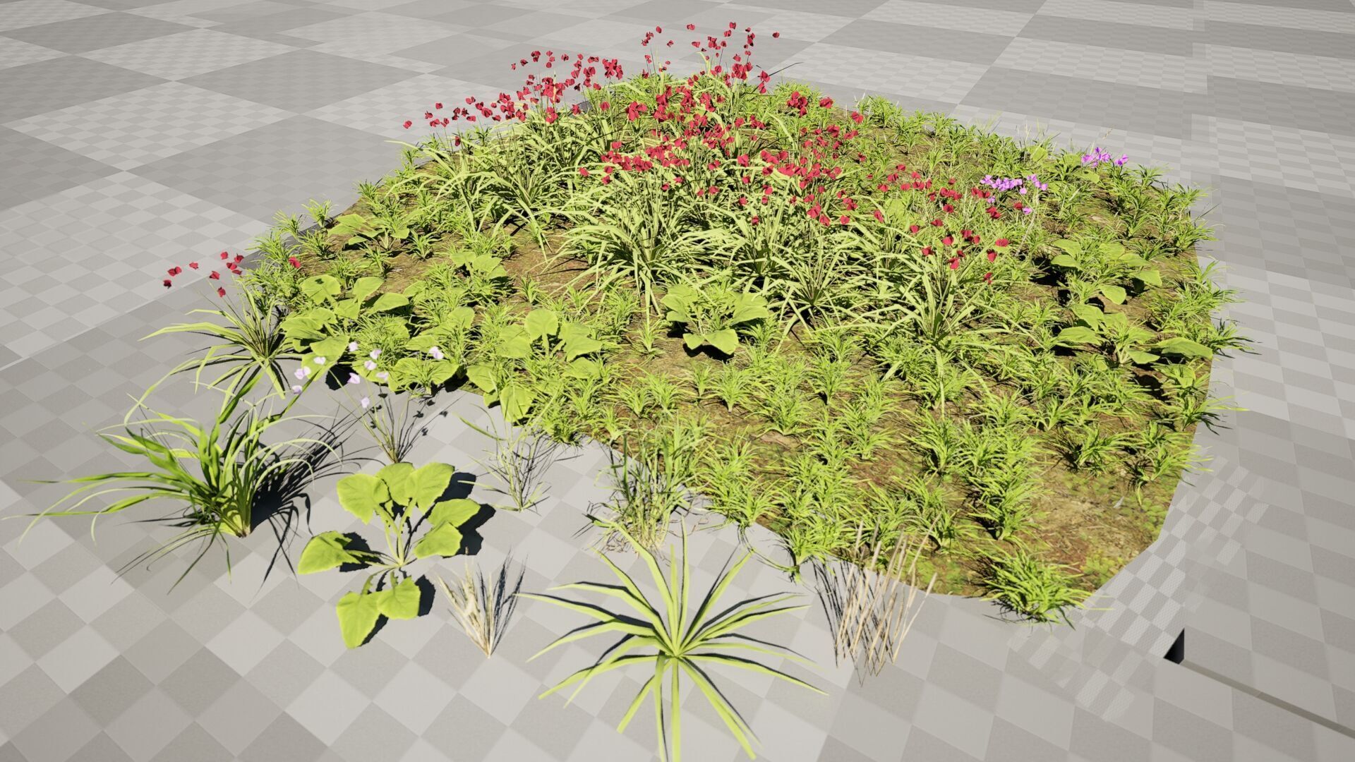 Wild Meadow Grass and Flower Patch Low-poly 3D model_4