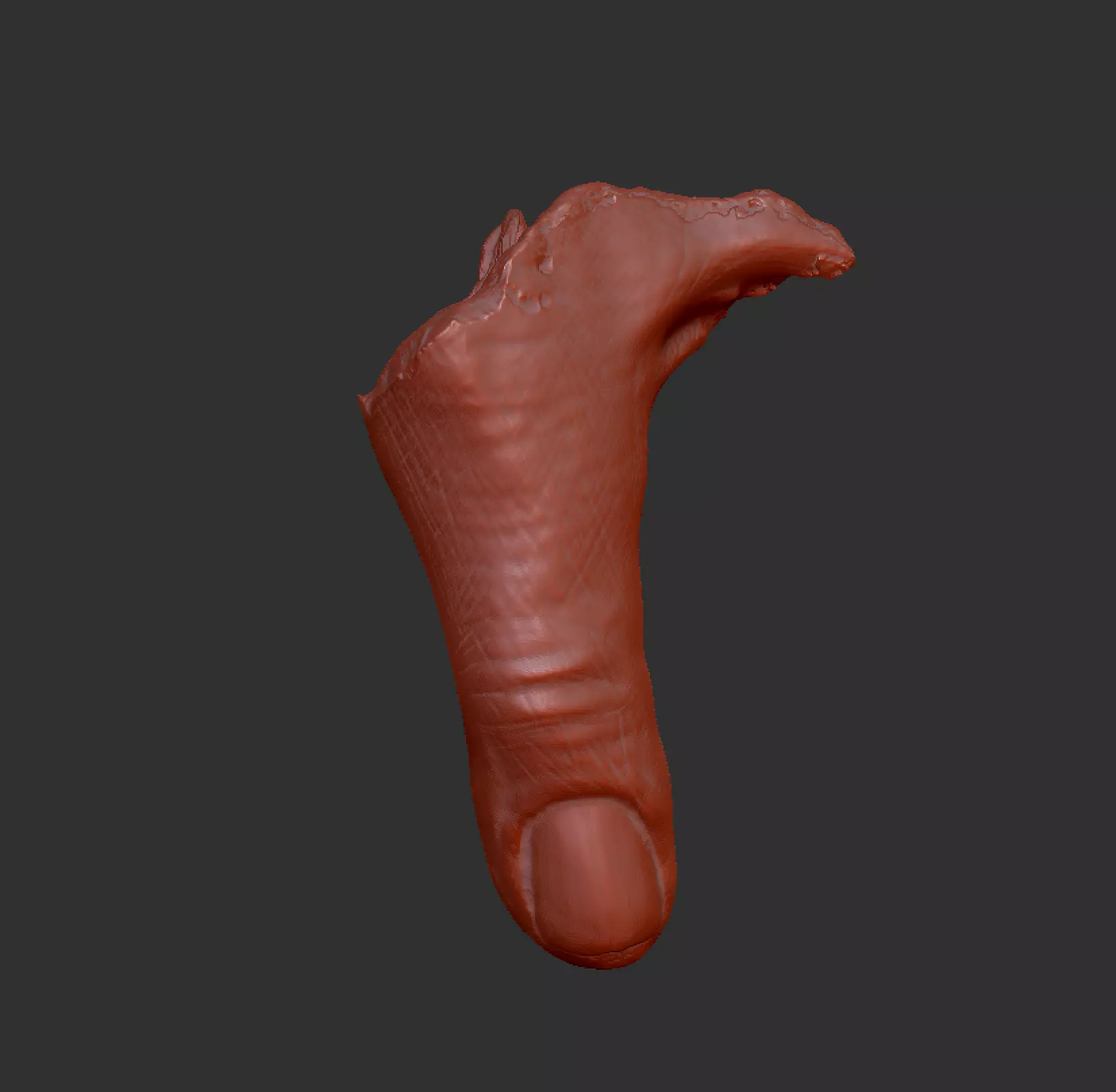 Severed Thumb 3D print model_0