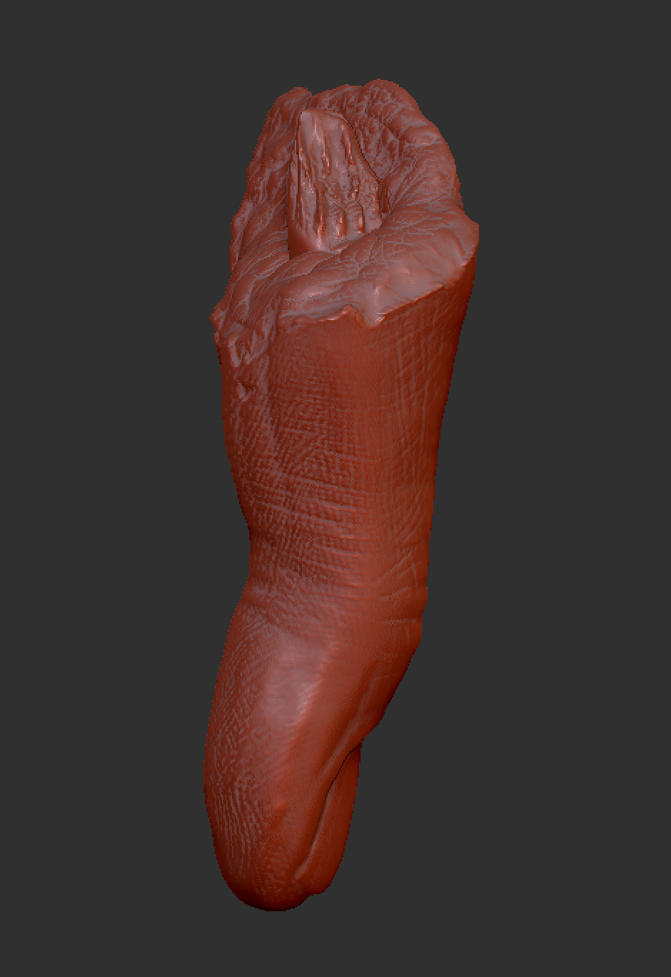 Severed Thumb 3D print model_2
