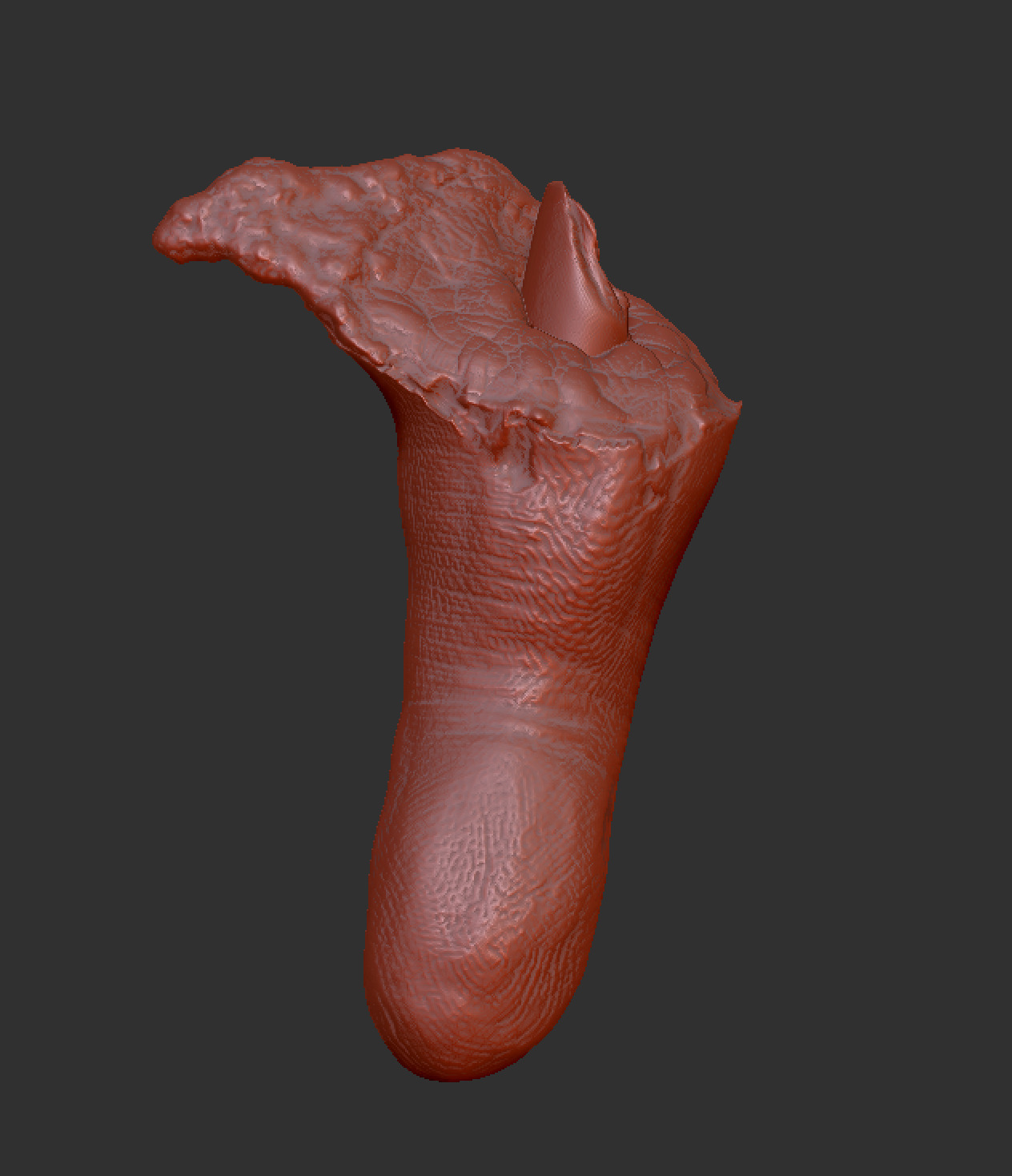 Severed Thumb 3D print model_1