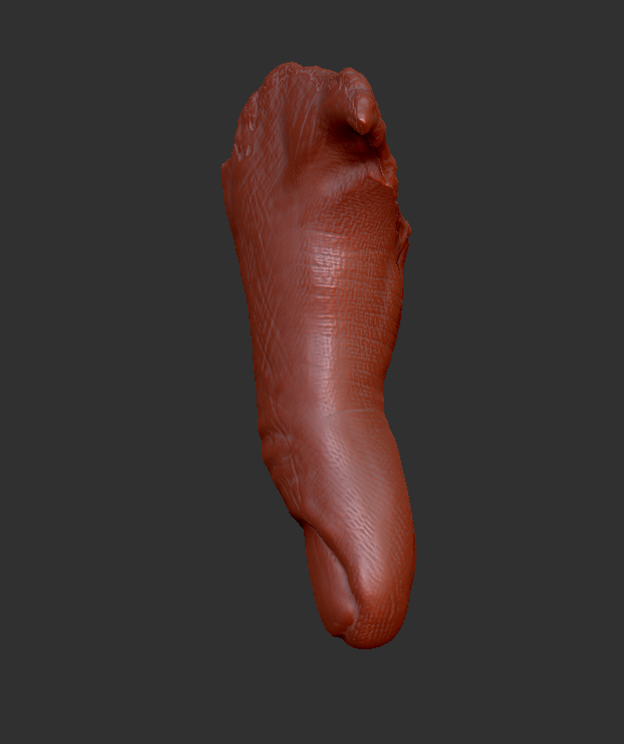 Severed Thumb 3D print model_3