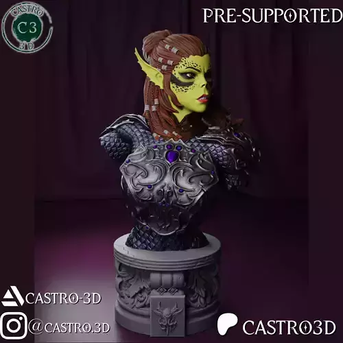 LaeZel - Champion of Vlaakith - Baldurs Gate 3 Bust Collection 3D print model