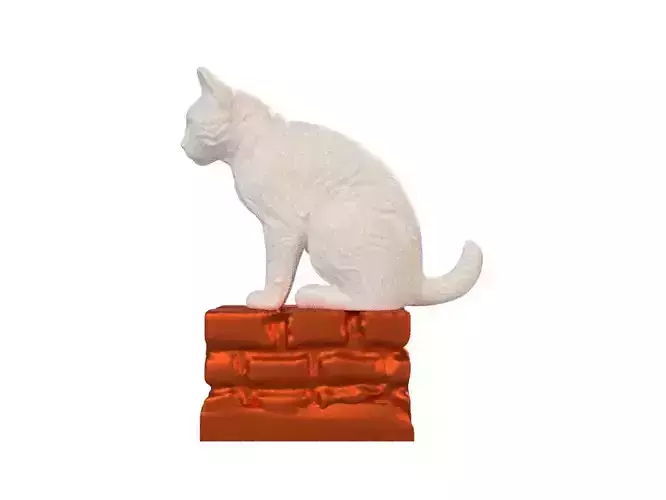 The cat over the wall