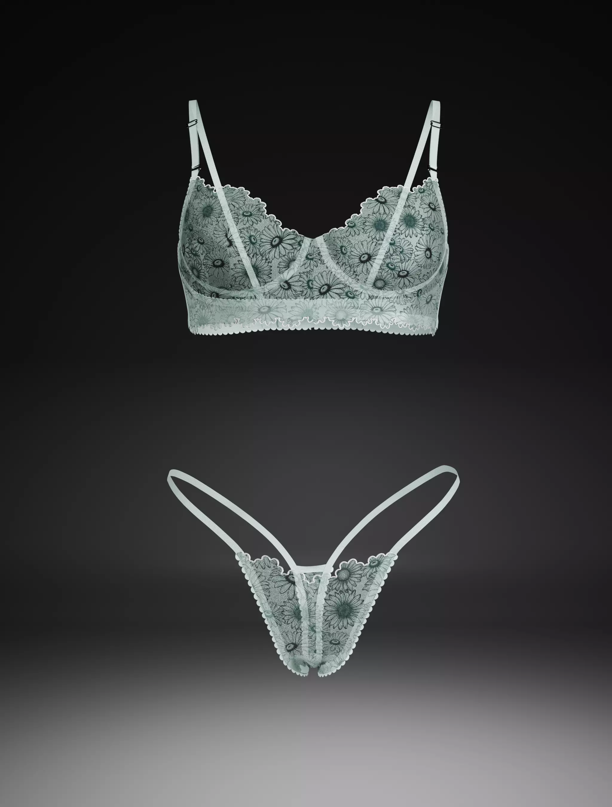 bra and panty 3D print model_0