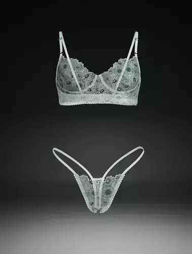 bra and panty 3D print model