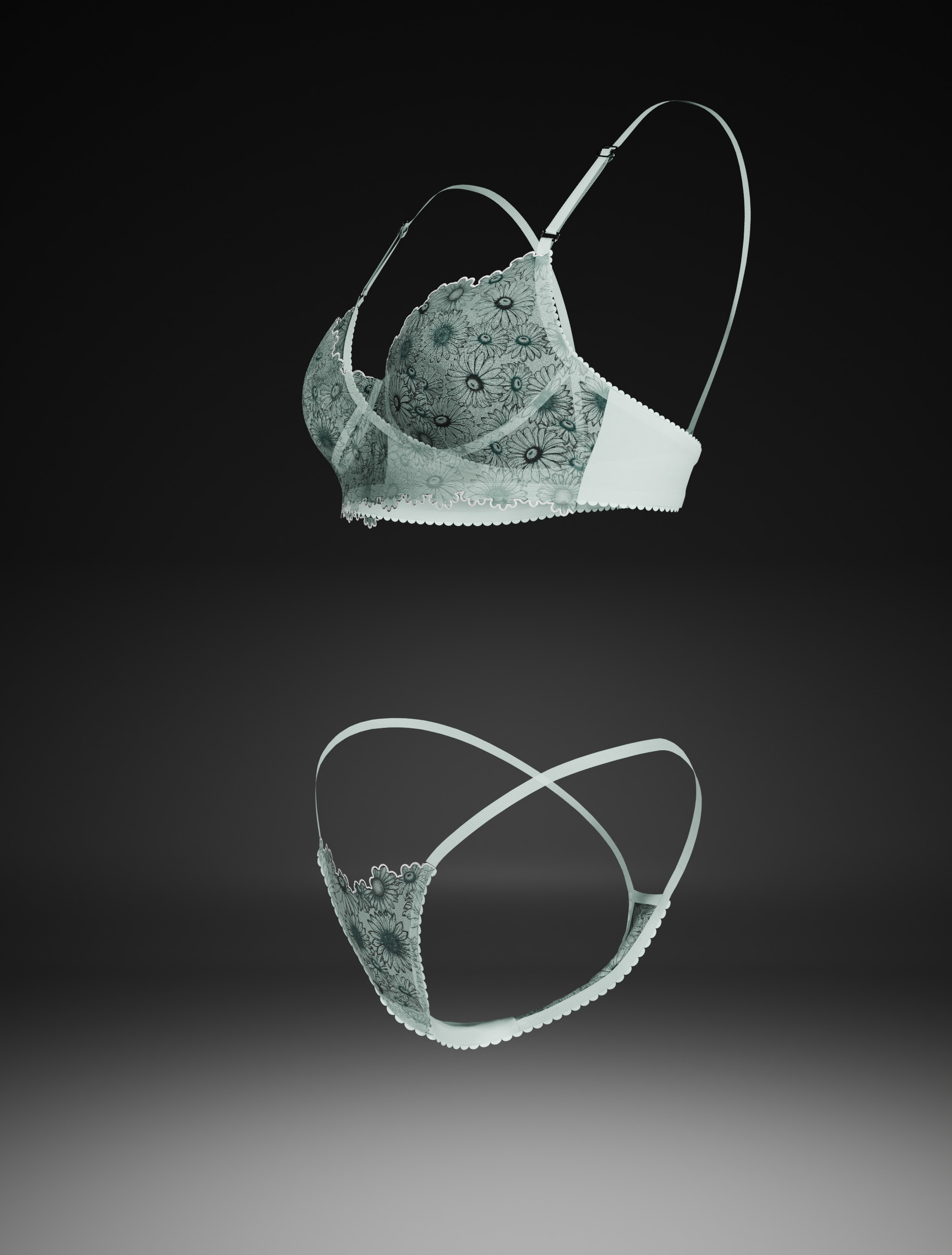 bra and panty 3D print model_1