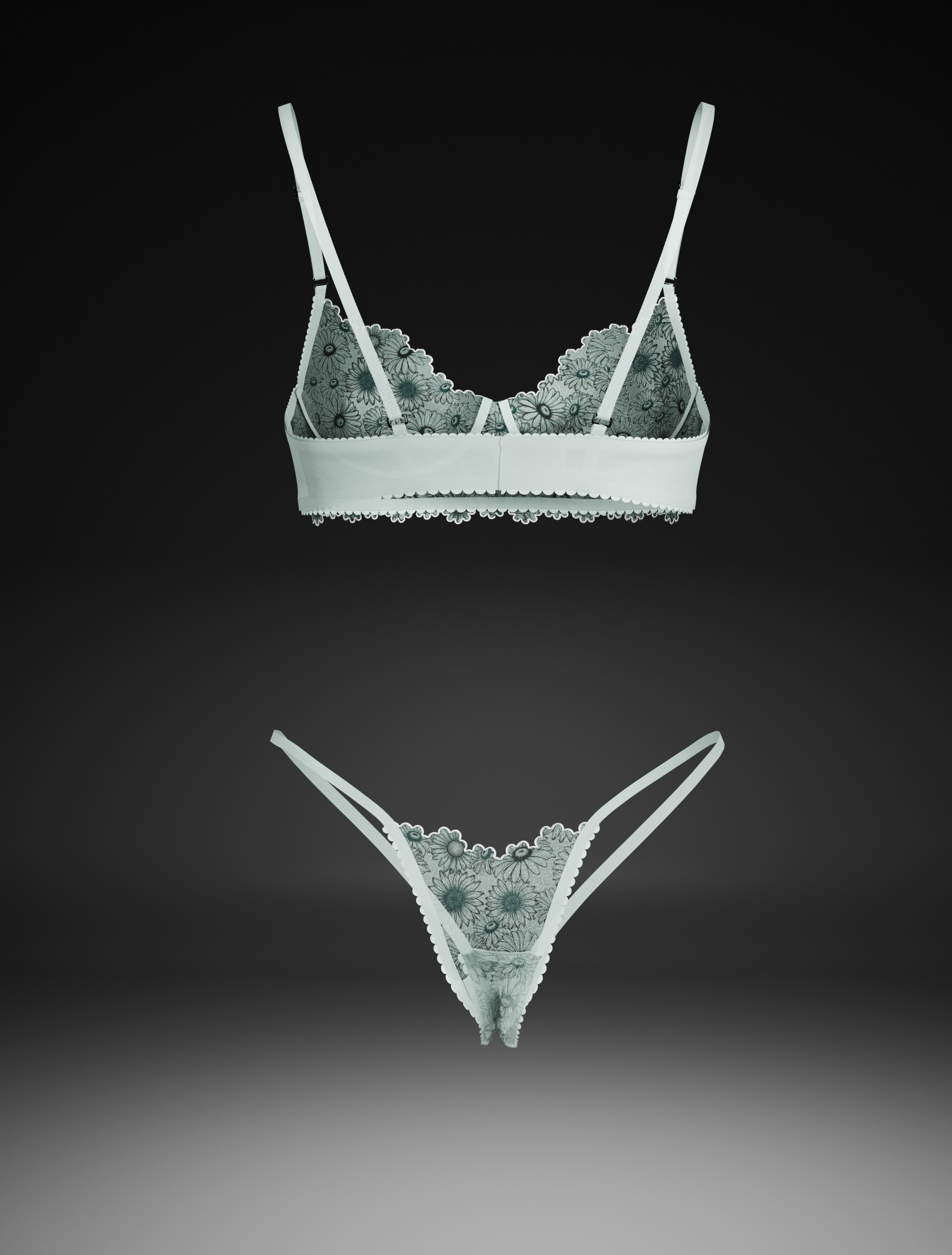 bra and panty 3D print model_2