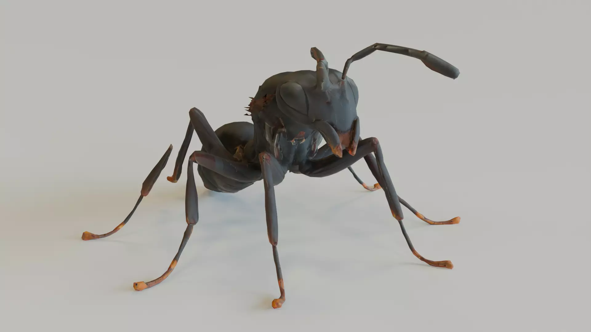 Hormiga Low-poly 3D model_0