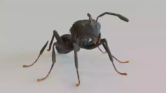 Hormiga Low-poly 3D model