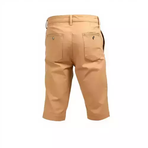 Casual Beige Shorts D Model Pack