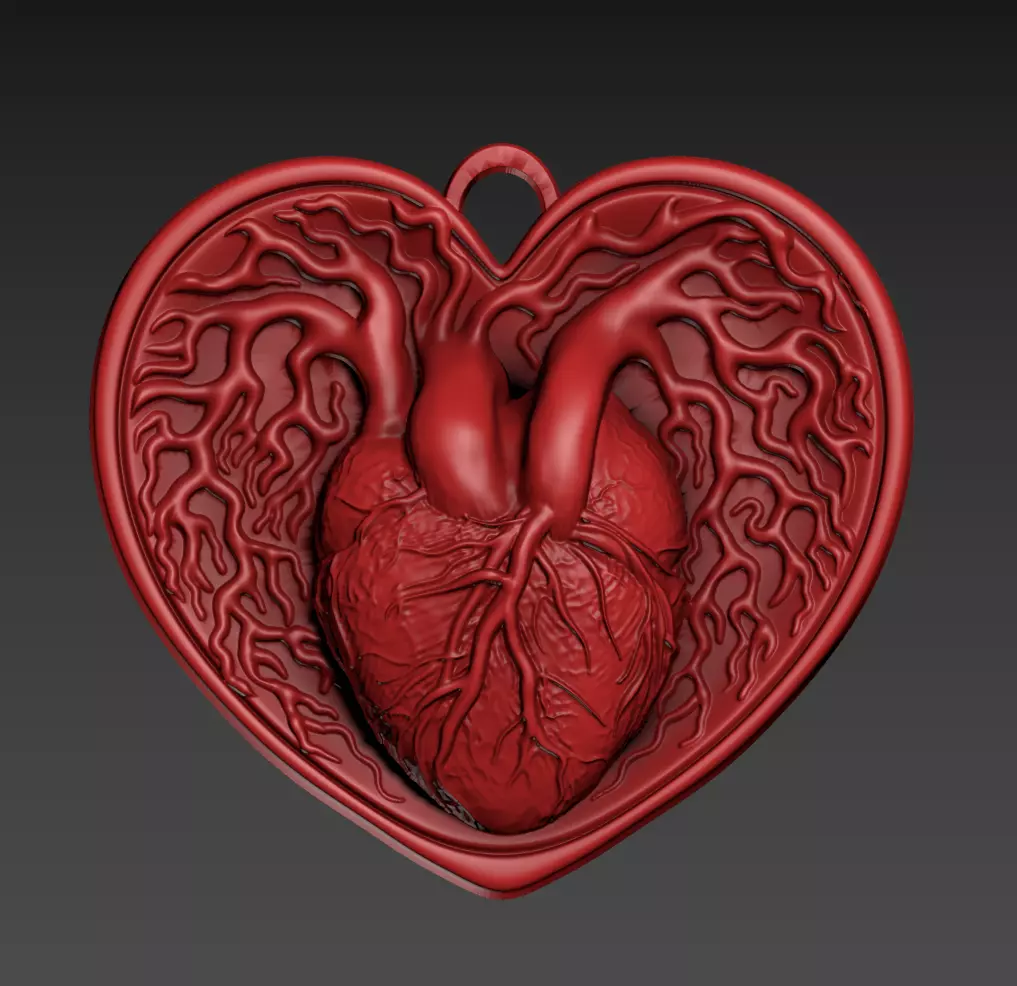 Anatomic Heart Pendant free Free 3D print model