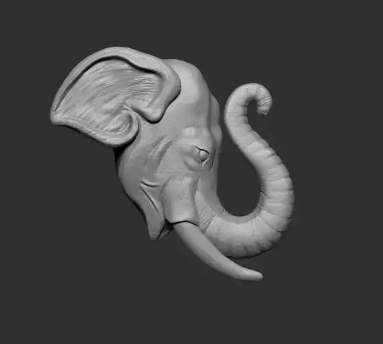 Elephant 