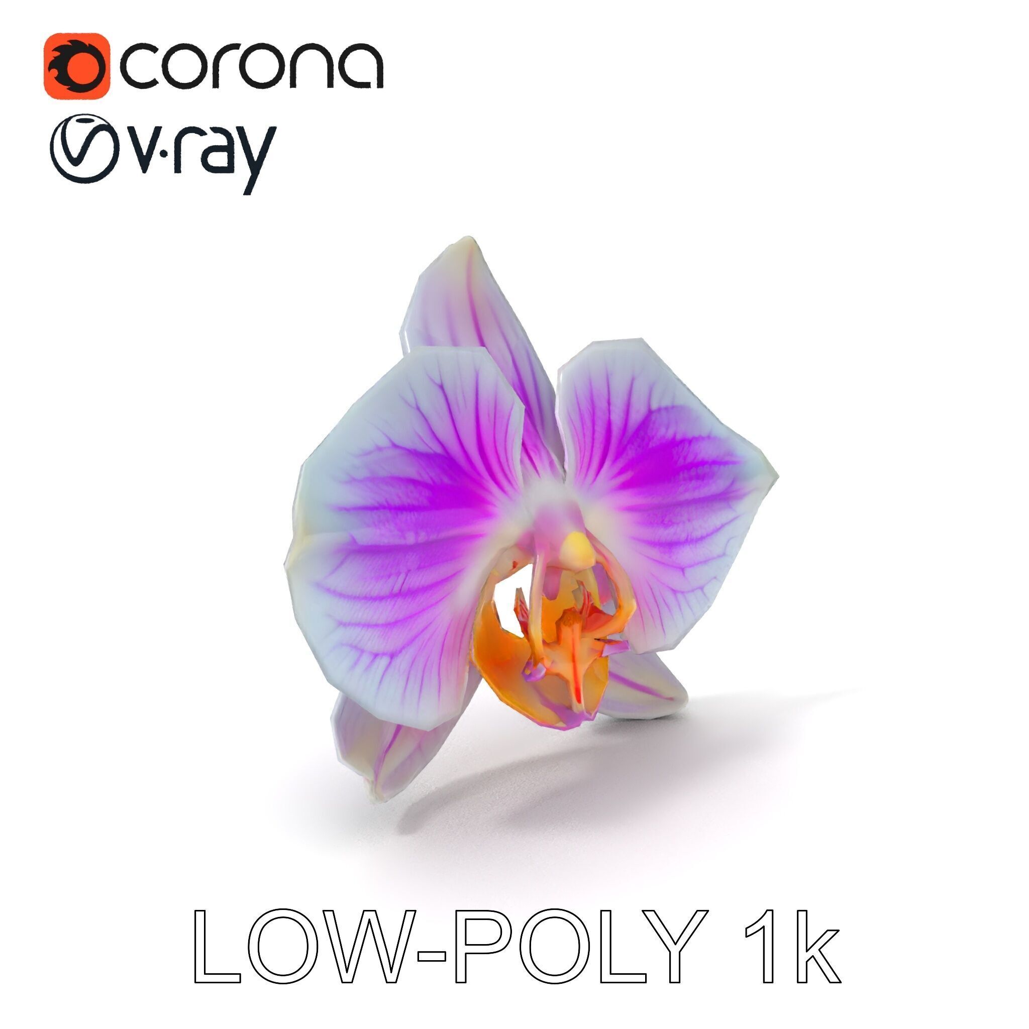 Phalaenopsis Orchid D Model Pack Low-poly 3D model_21