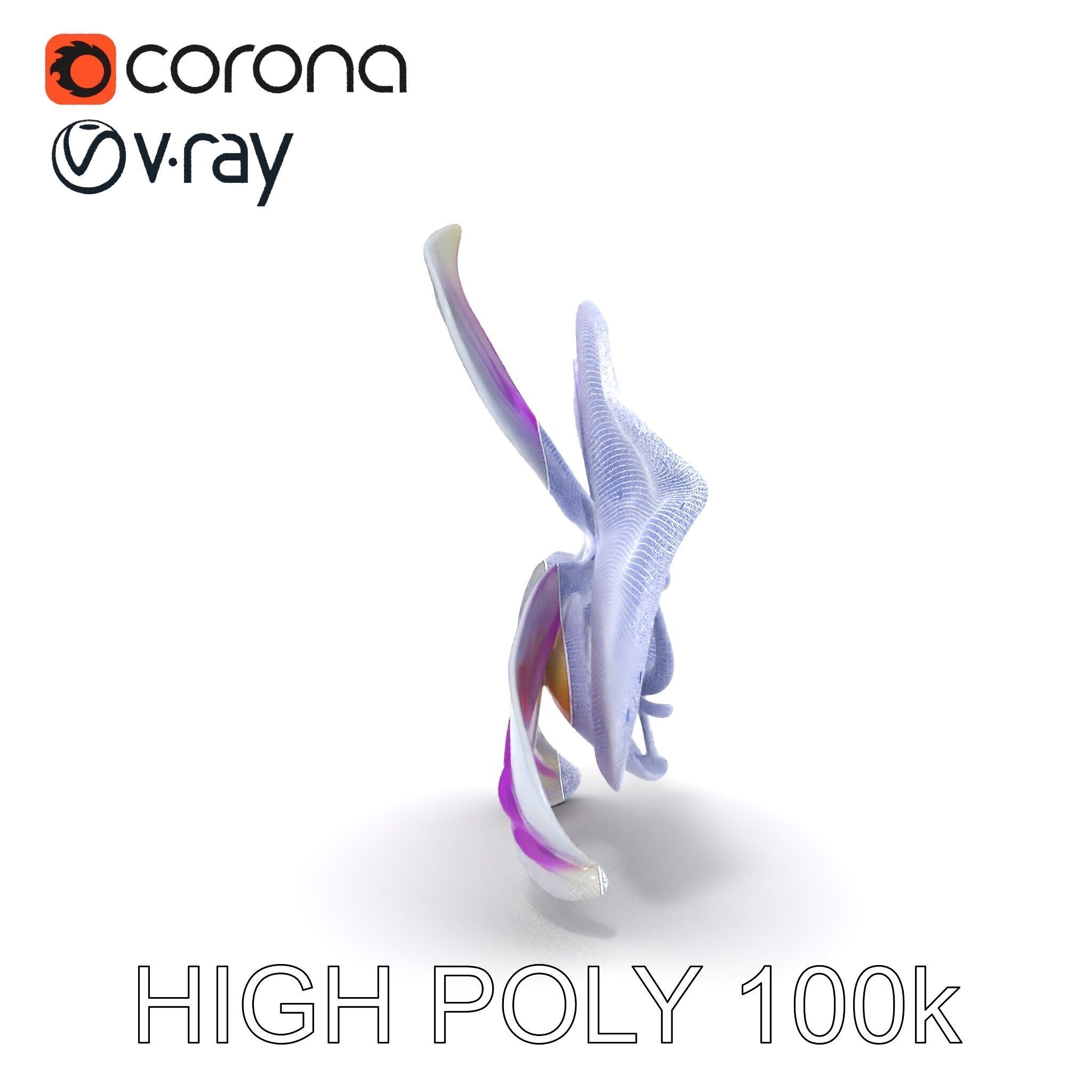 Phalaenopsis Orchid D Model Pack Low-poly 3D model_34