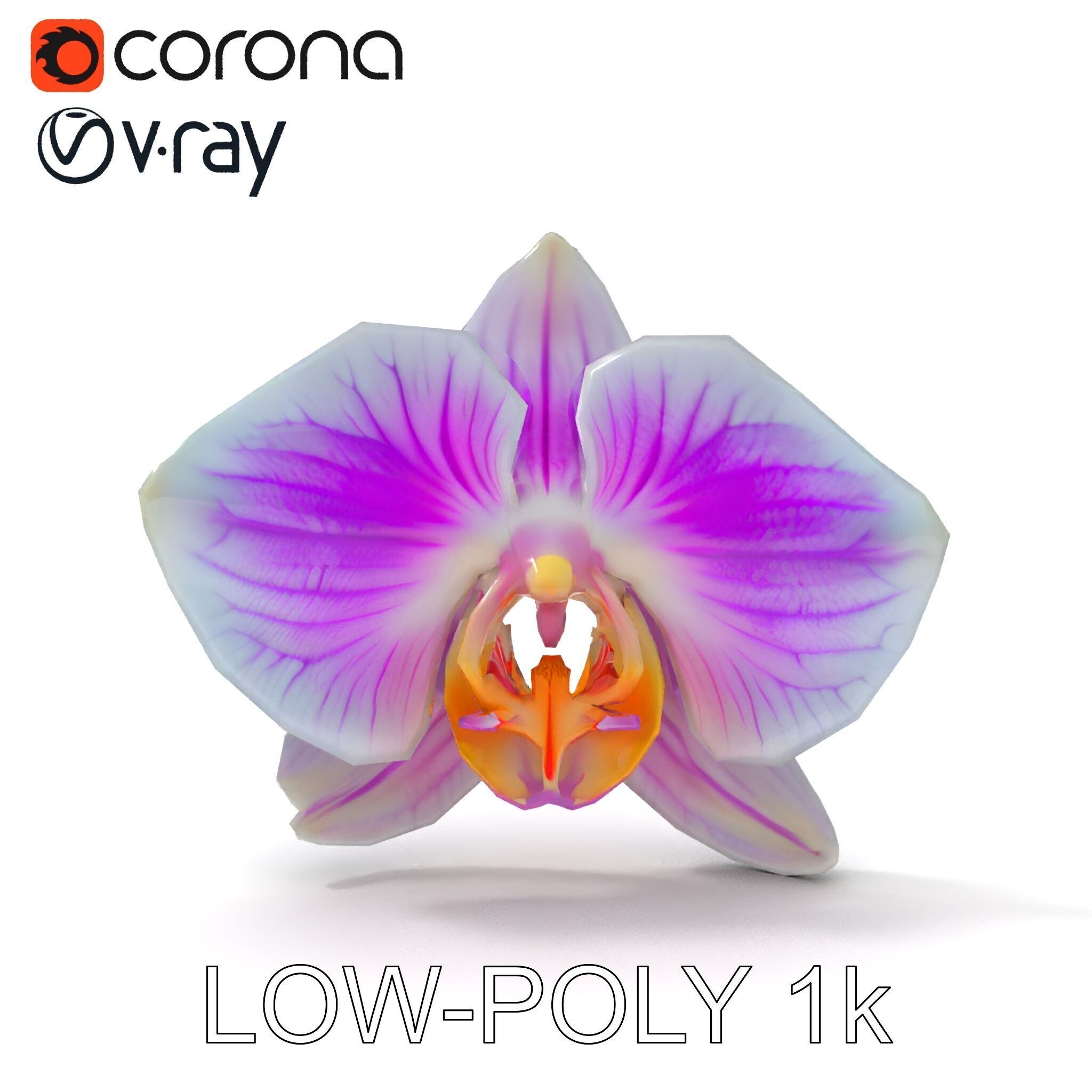 Phalaenopsis Orchid D Model Pack Low-poly 3D model_12