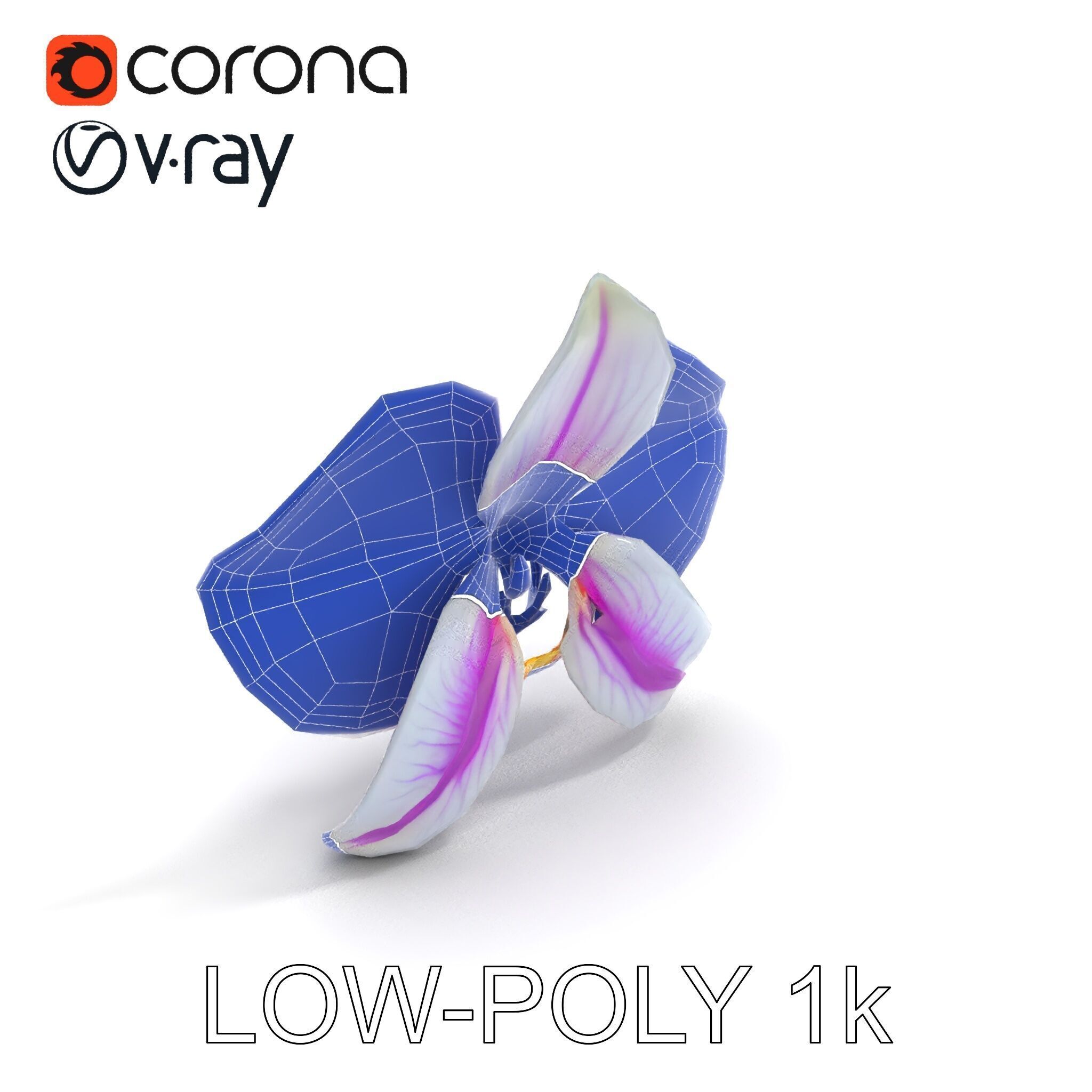 Phalaenopsis Orchid D Model Pack Low-poly 3D model_24