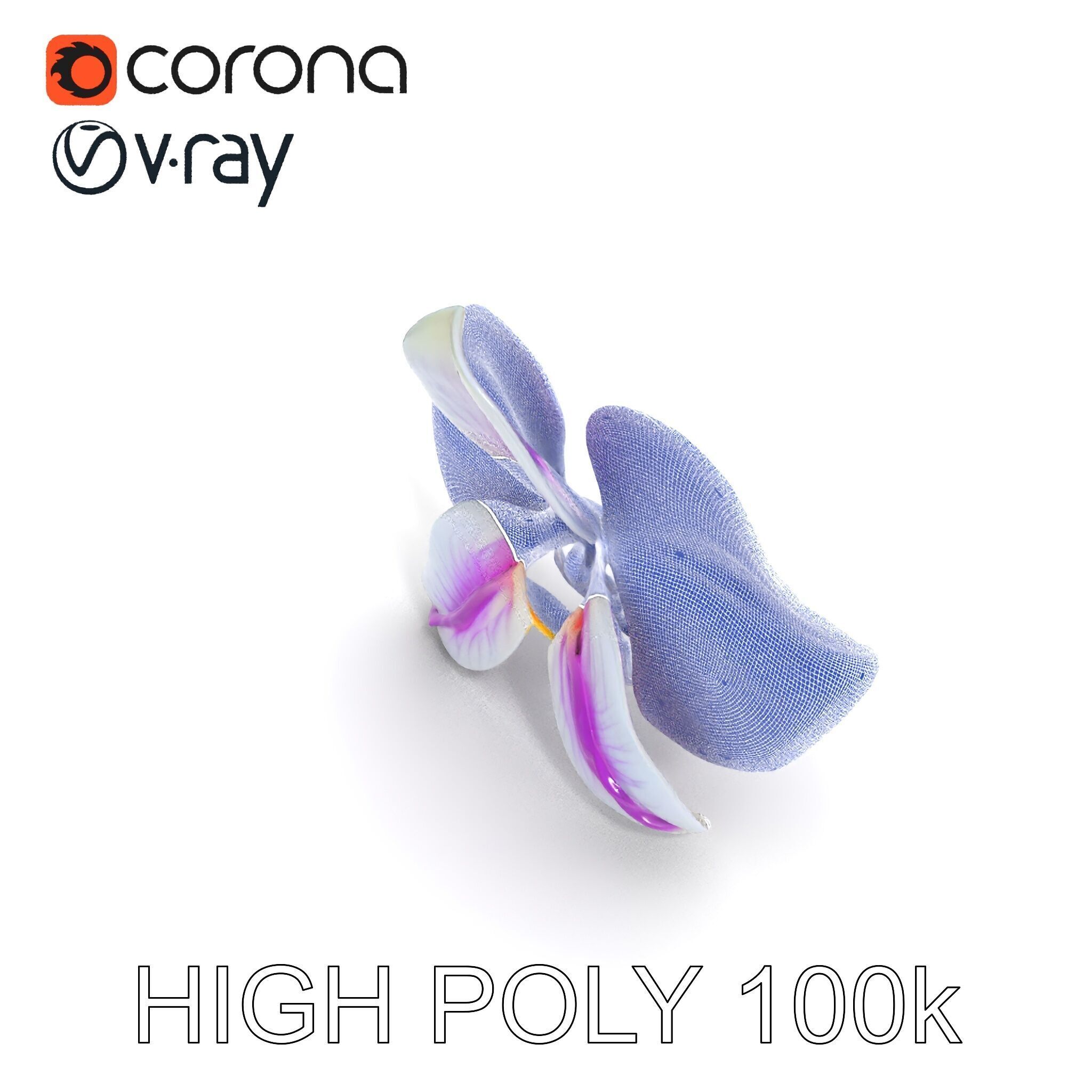 Phalaenopsis Orchid D Model Pack Low-poly 3D model_10