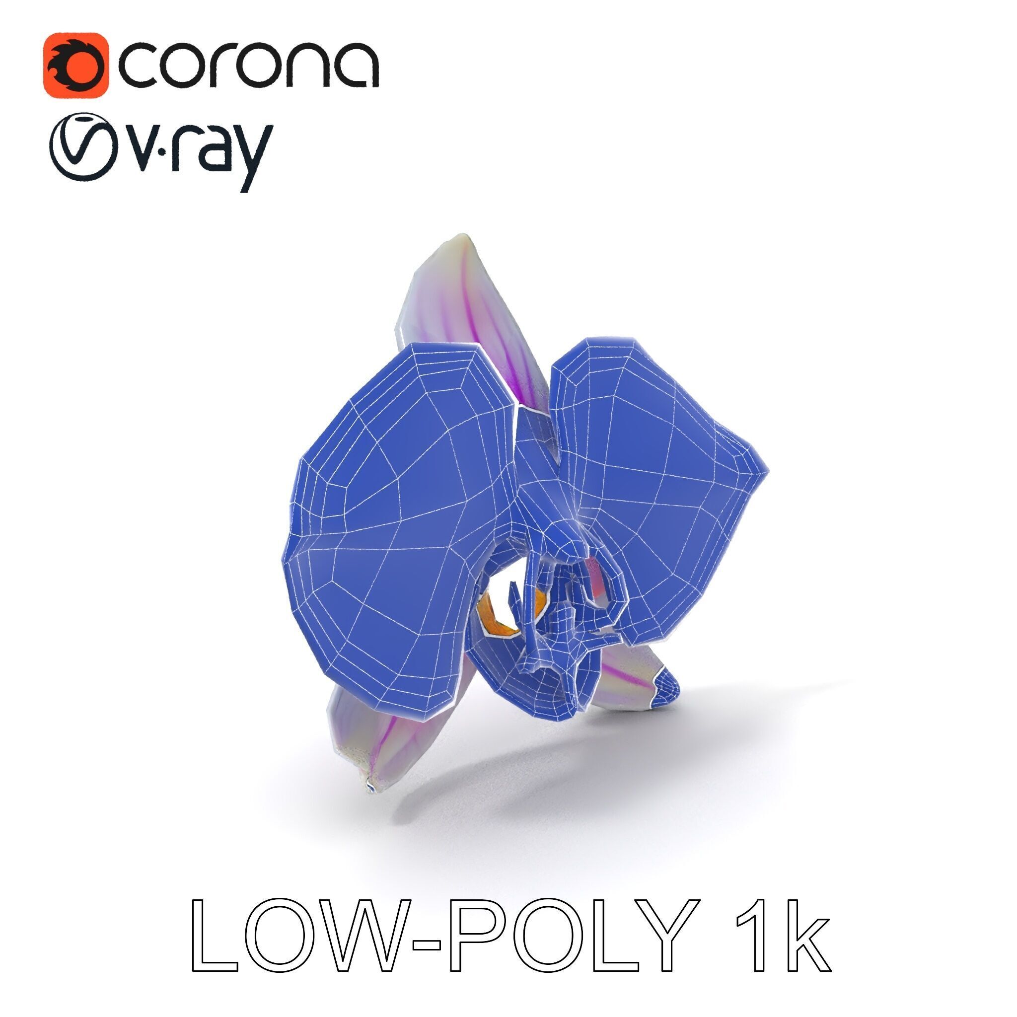 Phalaenopsis Orchid D Model Pack Low-poly 3D model_26