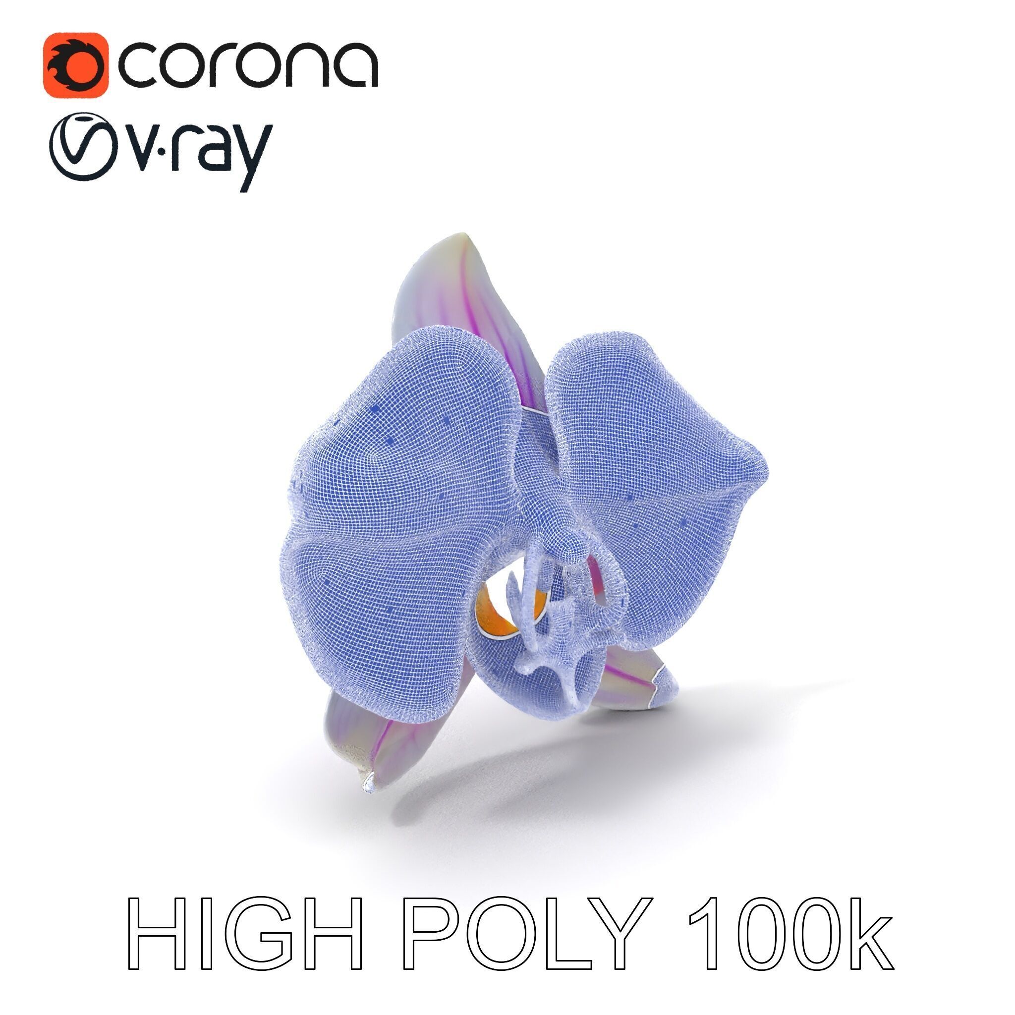 Phalaenopsis Orchid D Model Pack Low-poly 3D model_4