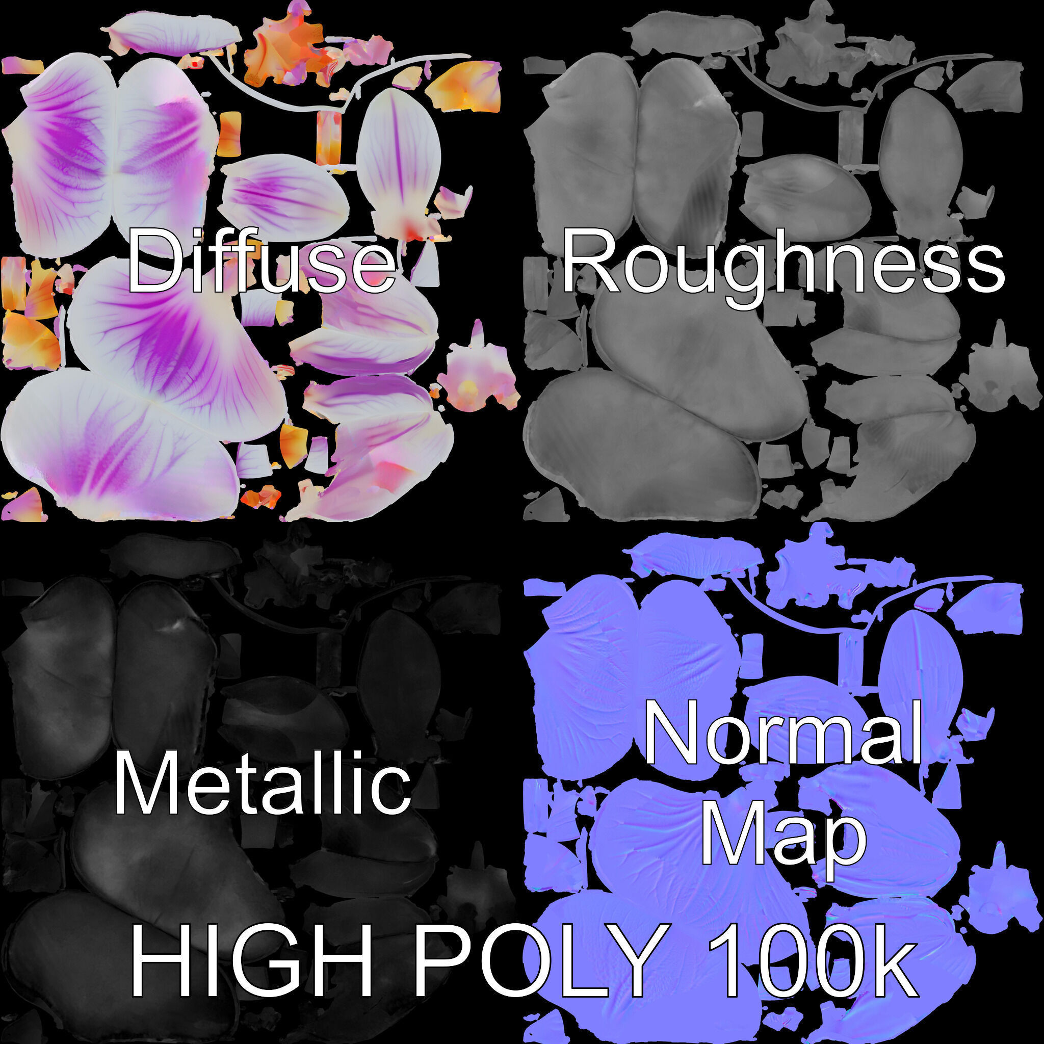 Phalaenopsis Orchid D Model Pack Low-poly 3D model_2