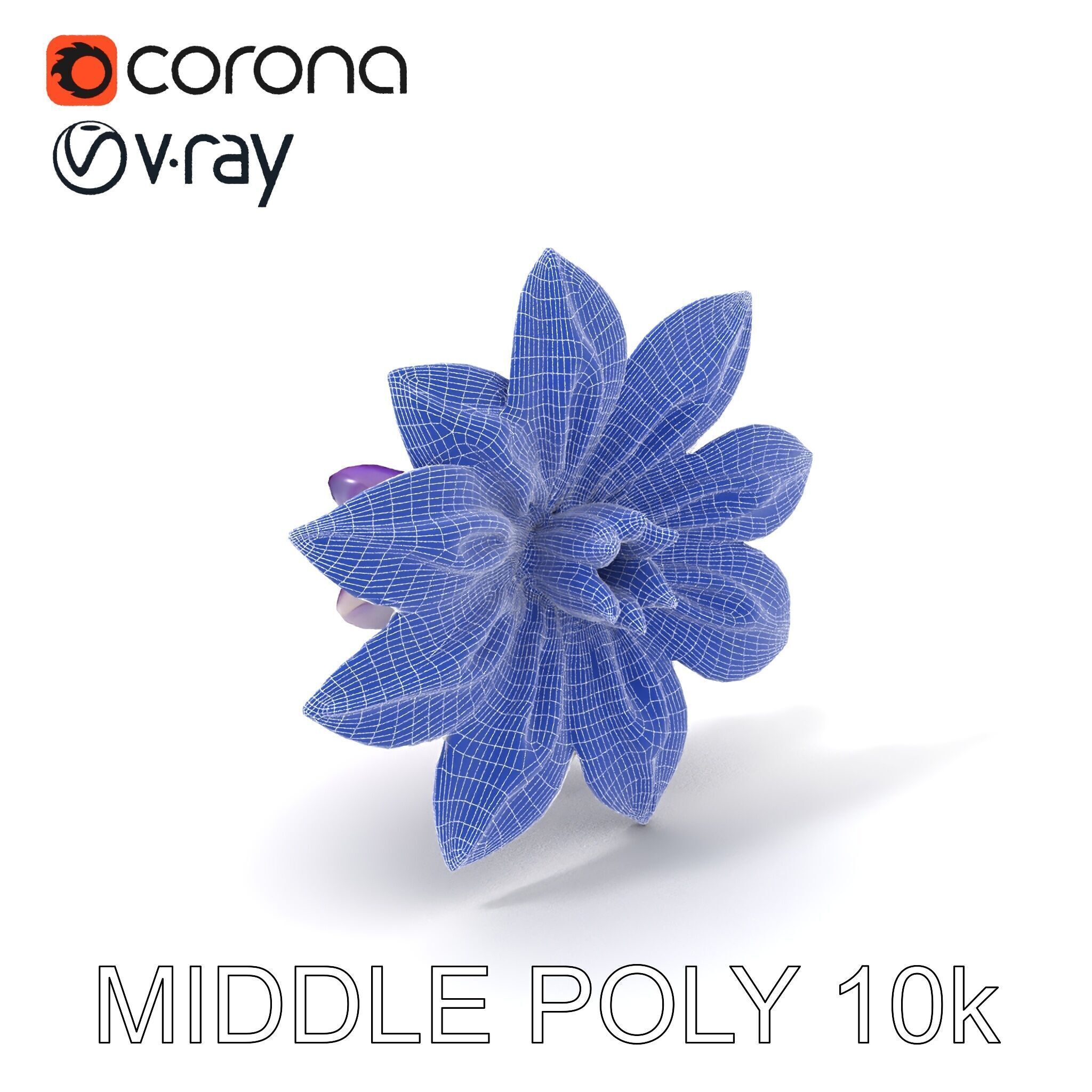Iridescent Flower Model Pack Low-poly 3D model_33