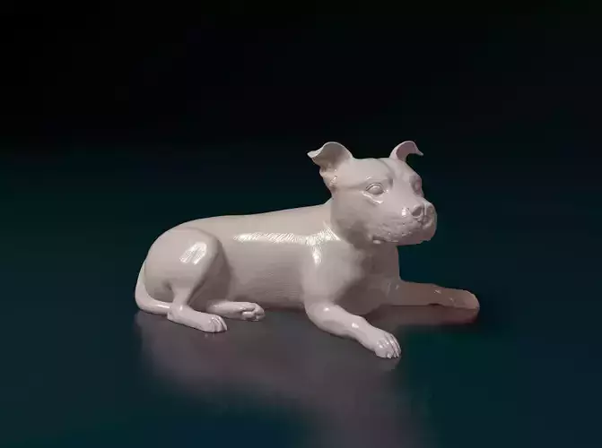 Staffordshire Bullterrier 010