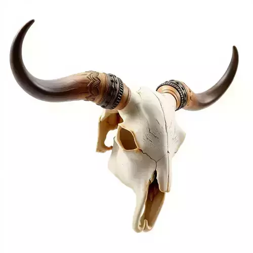 Decorative Bull Skull Model Pack with Carved Horns