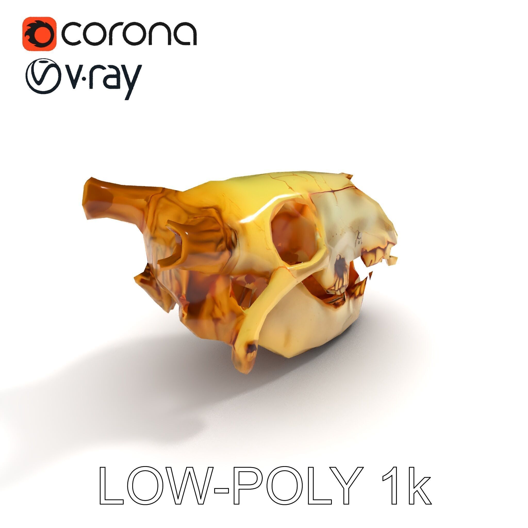 Realistic Animal Skull Model Pack for Animation Low-poly 3D model_12