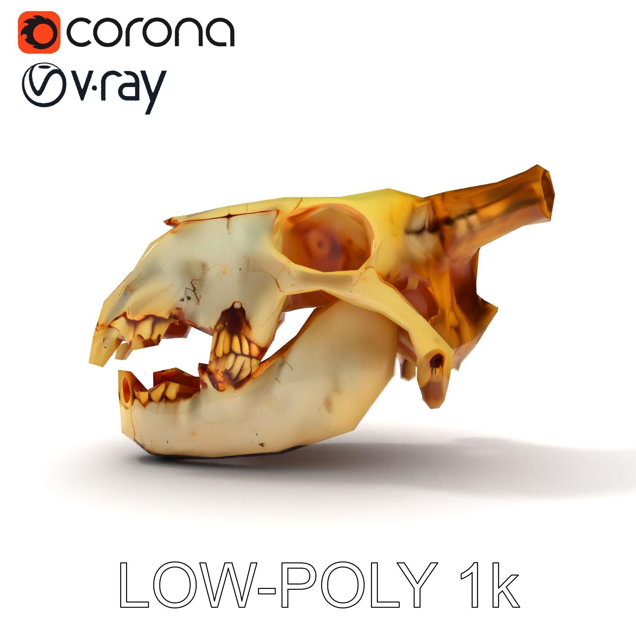 Realistic Animal Skull Model Pack for Animation Low-poly 3D model_24