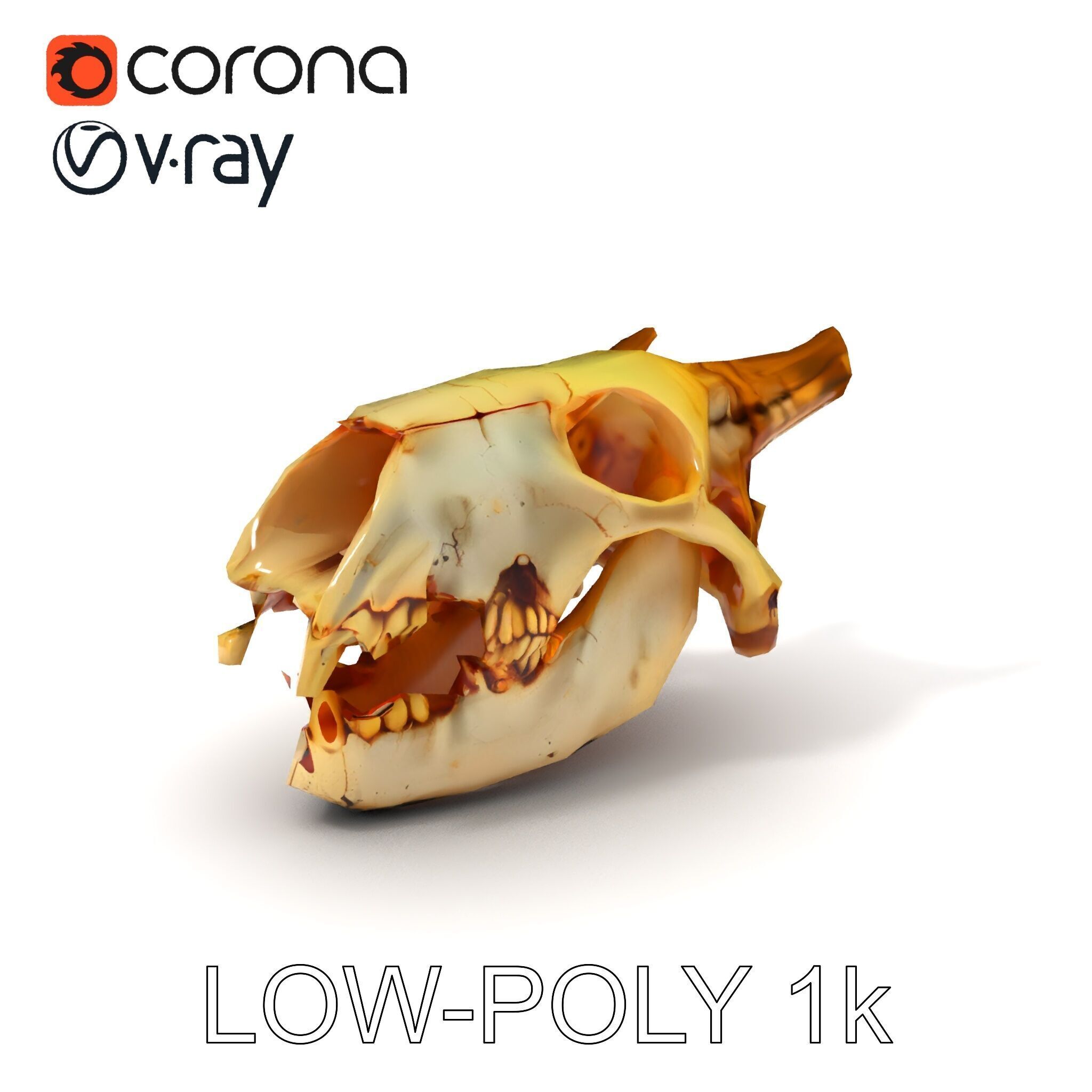 Realistic Animal Skull Model Pack for Animation Low-poly 3D model_21