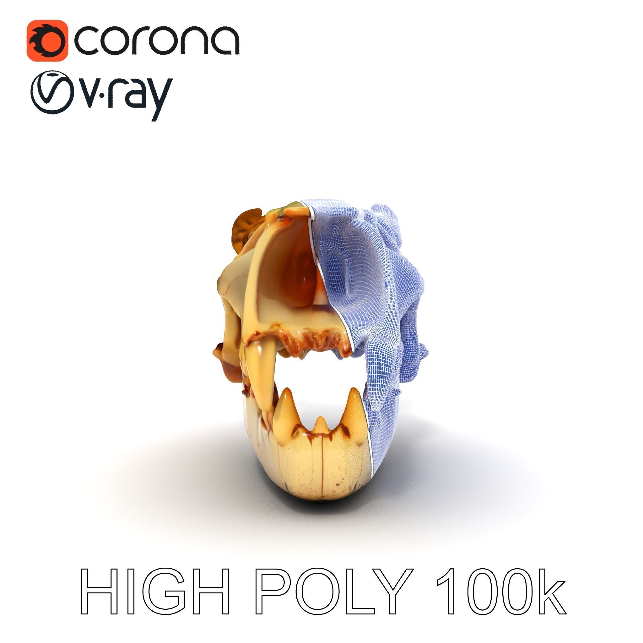 Realistic Animal Skull Model Pack for Animation Low-poly 3D model_22