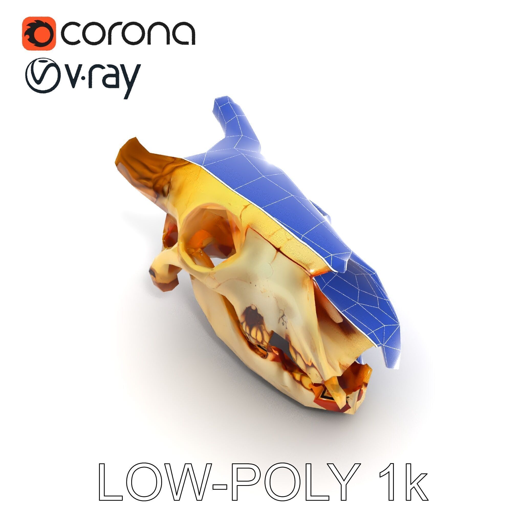 Realistic Animal Skull Model Pack for Animation Low-poly 3D model_34