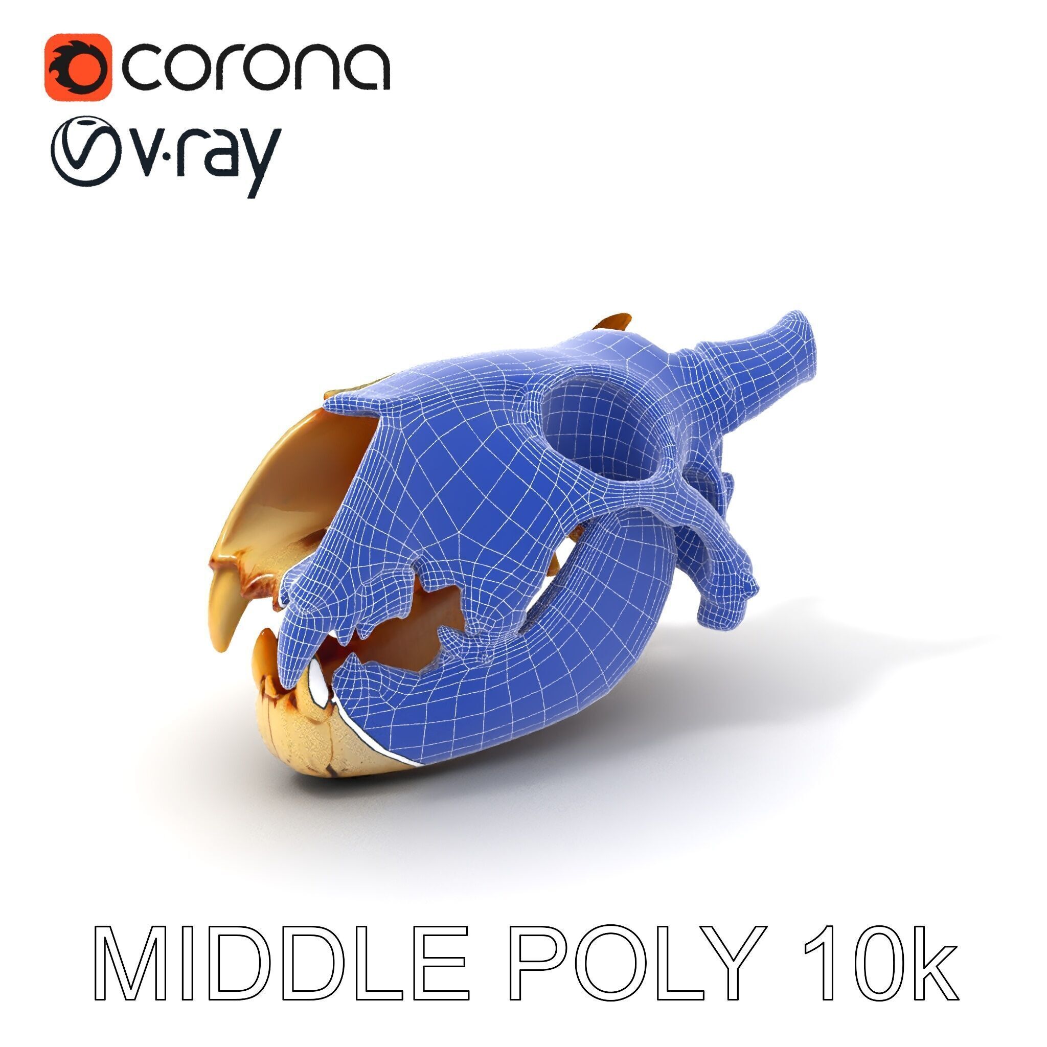 Realistic Animal Skull Model Pack for Animation Low-poly 3D model_11