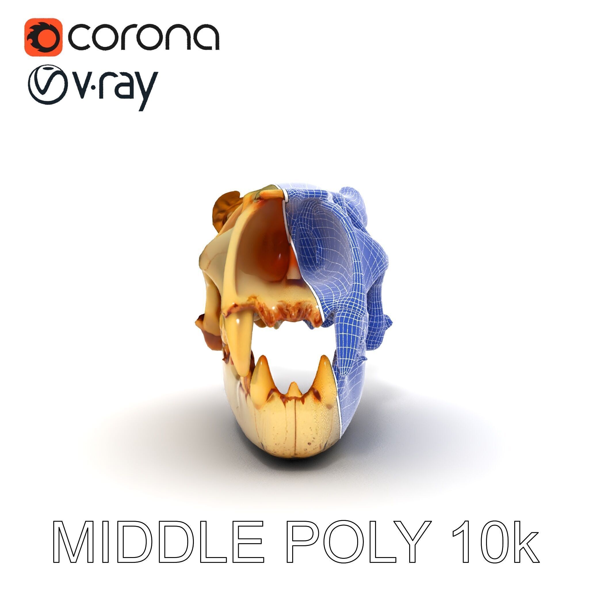 Realistic Animal Skull Model Pack for Animation Low-poly 3D model_29