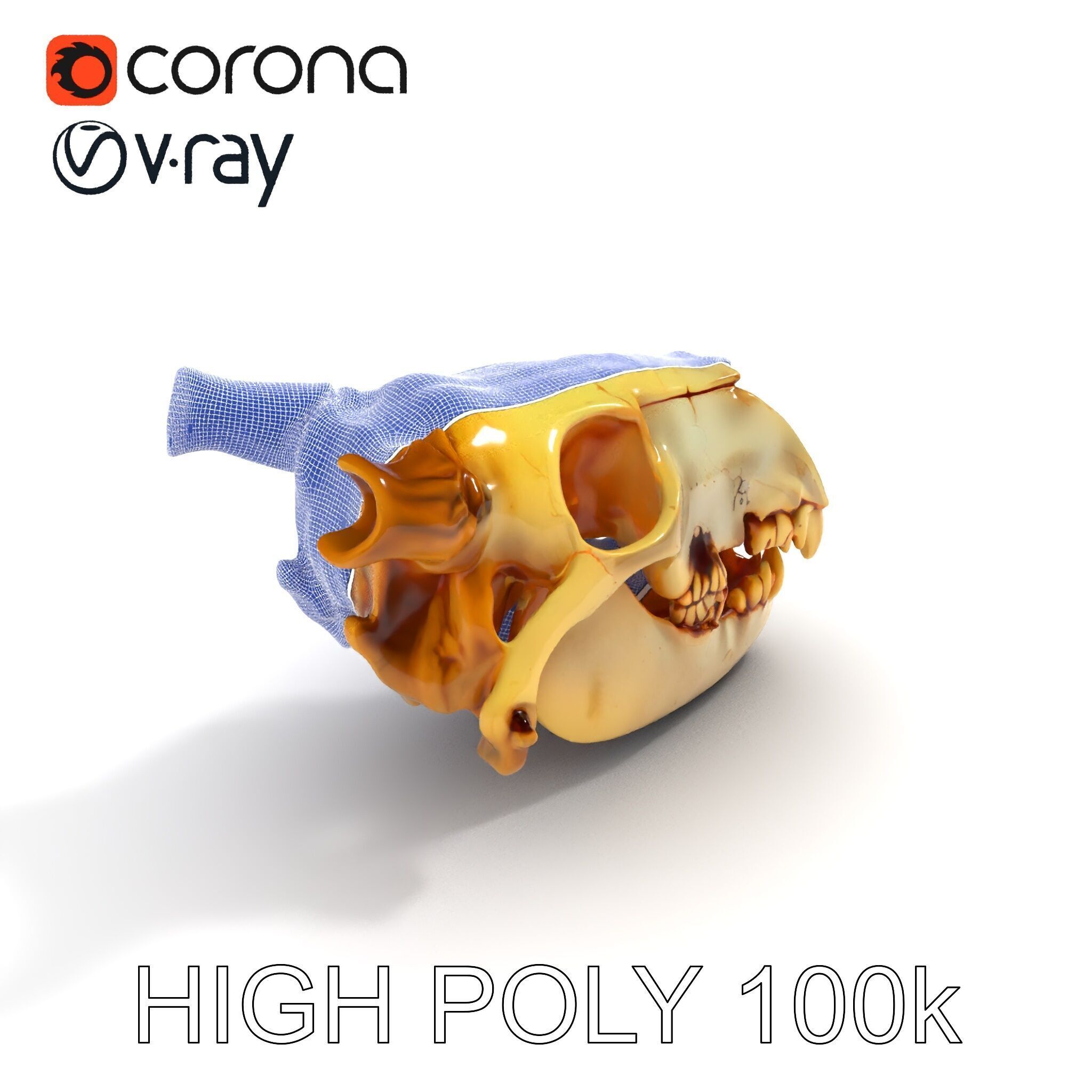 Realistic Animal Skull Model Pack for Animation Low-poly 3D model_13