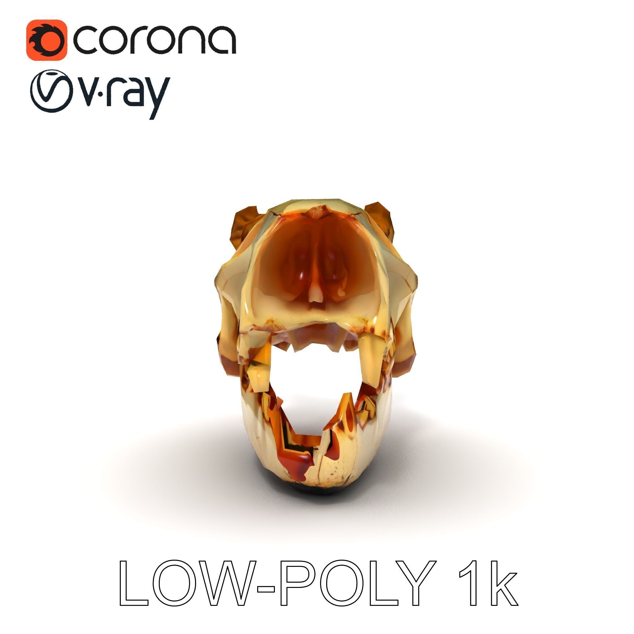 Realistic Animal Skull Model Pack for Animation Low-poly 3D model_32