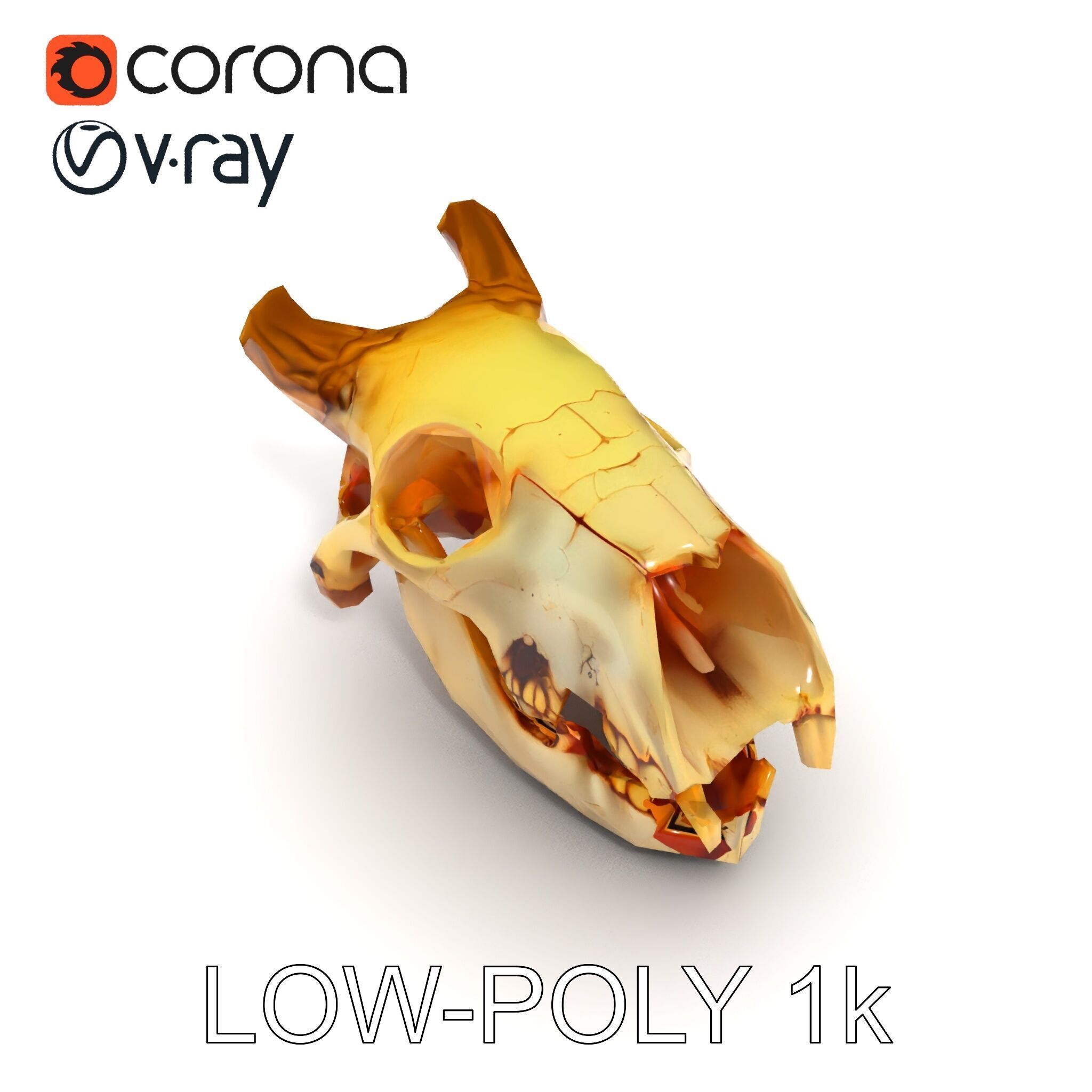 Realistic Animal Skull Model Pack for Animation Low-poly 3D model_15