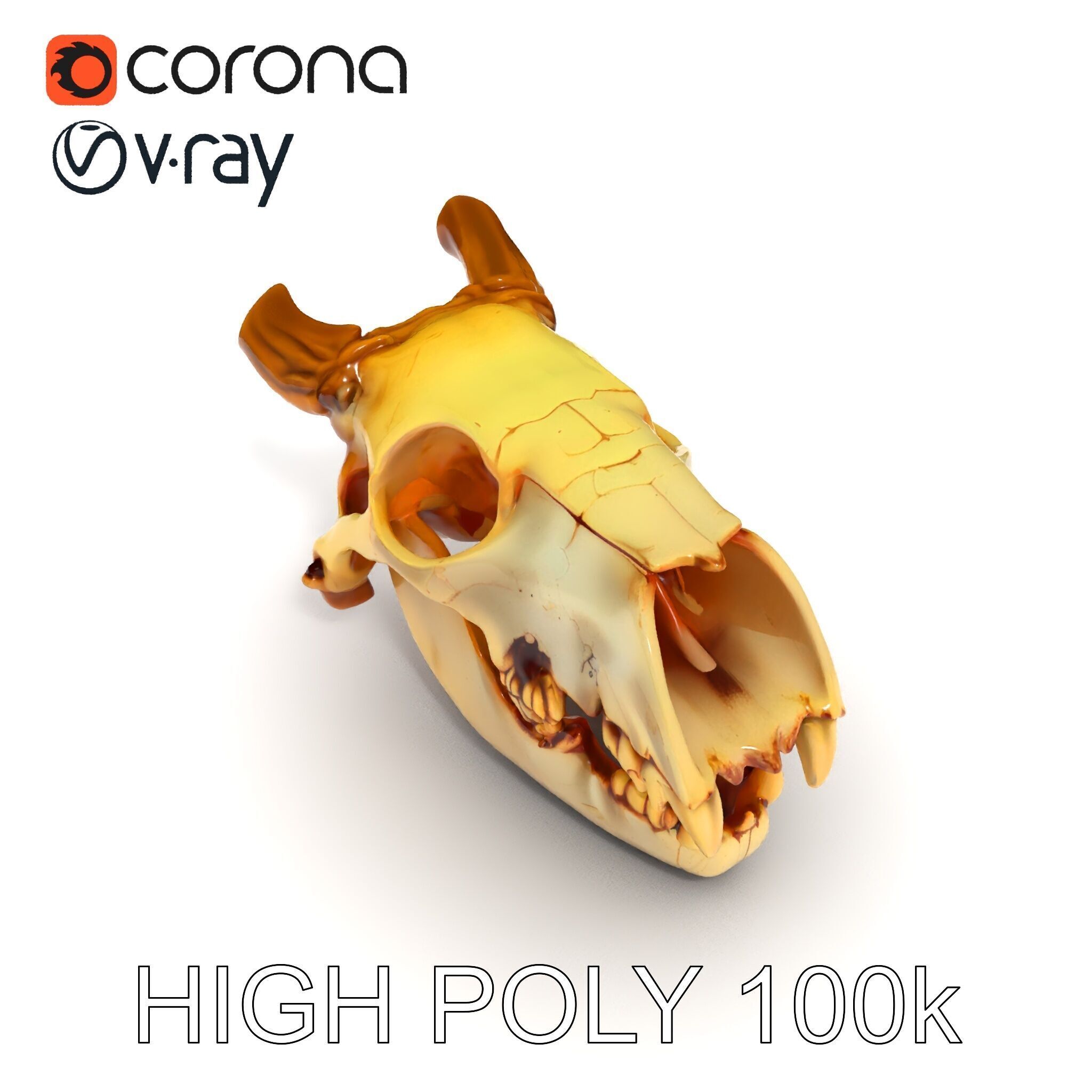 Realistic Animal Skull Model Pack for Animation Low-poly 3D model_16
