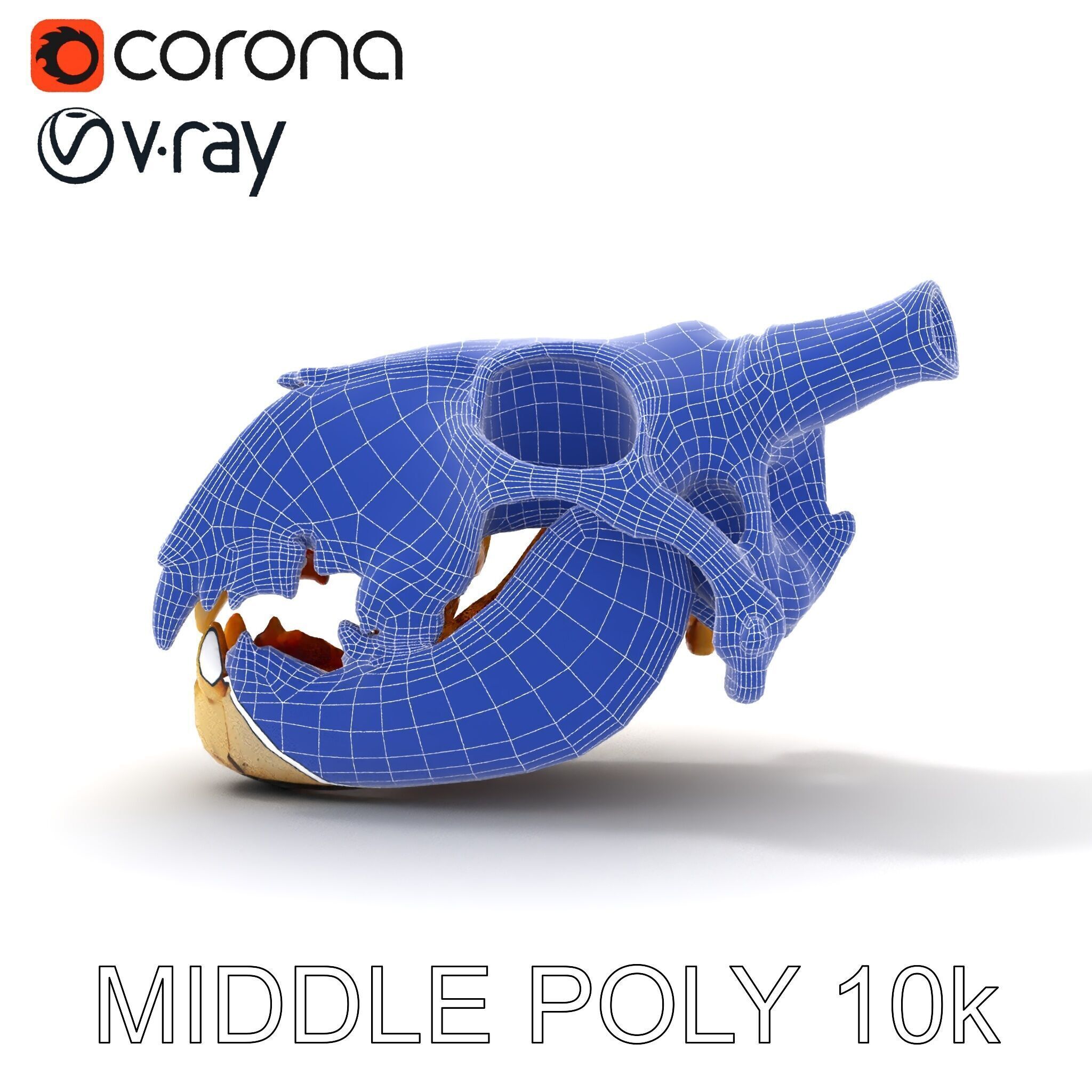 Realistic Animal Skull Model Pack for Animation Low-poly 3D model_31